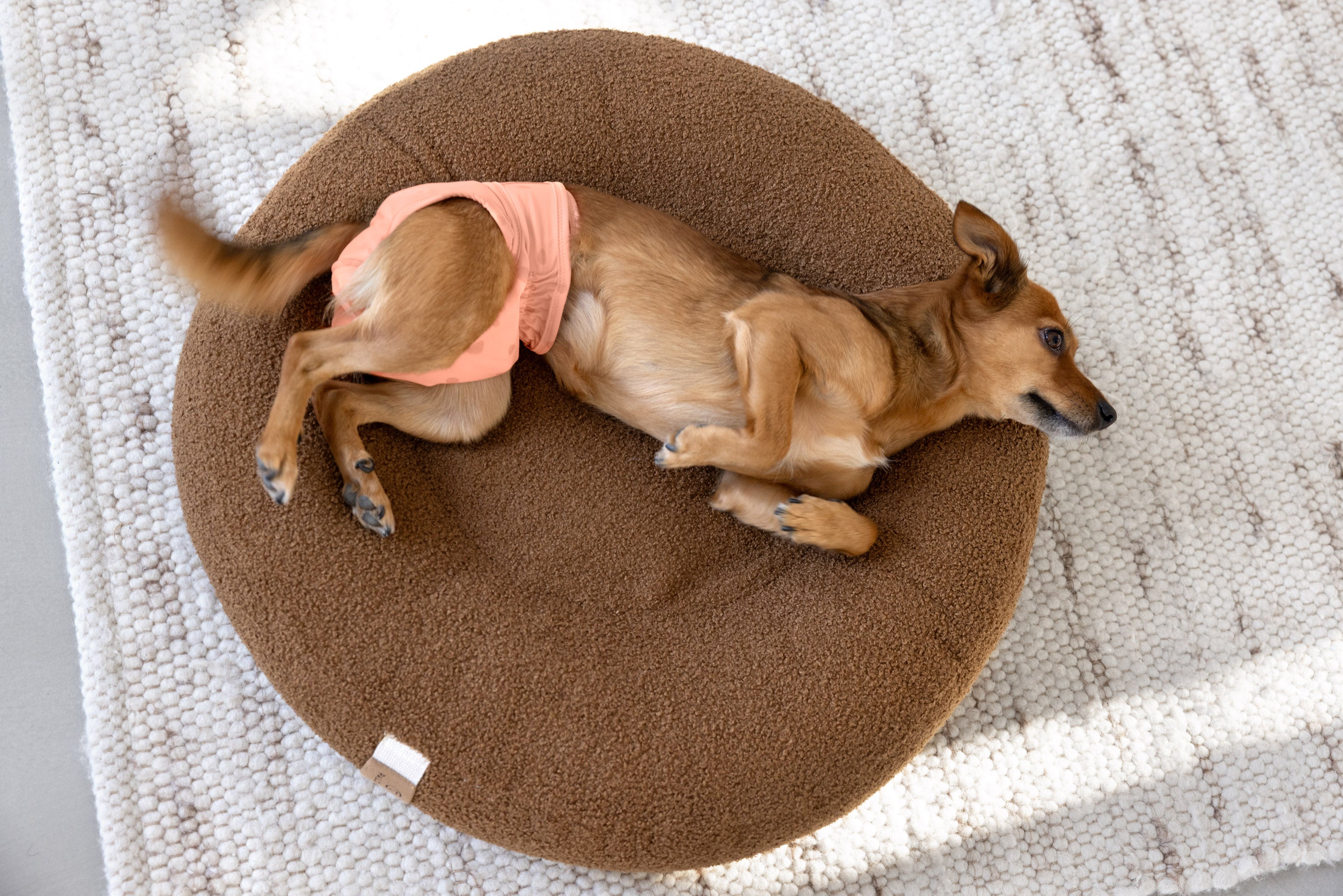 PALOPA Läufigkeitshöschen Dog Diaper Glan Dots Peach Hundewindeln große Hunde