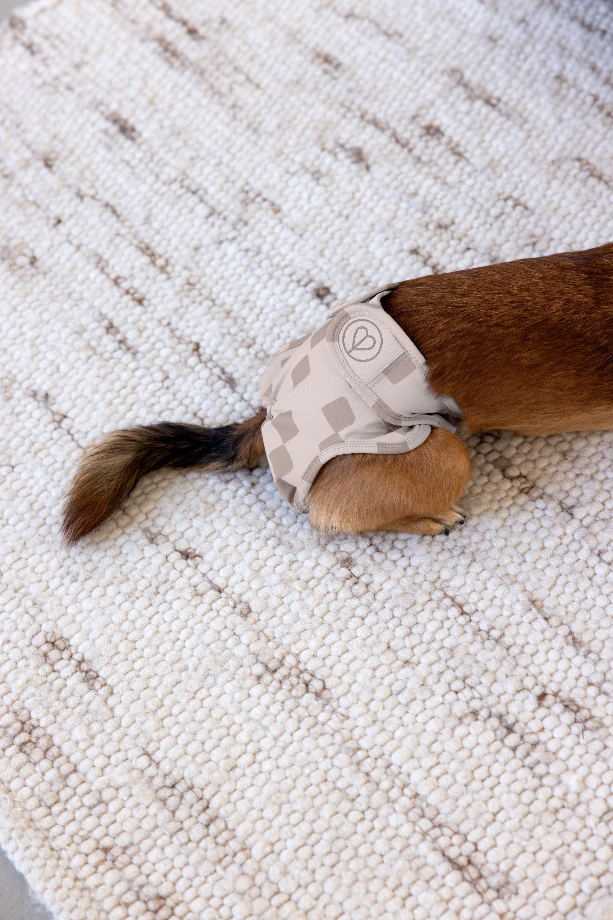 PALOPA Läufigkeitshose & Hundewindel Glan Taupe Läufigkeitshose Hunde