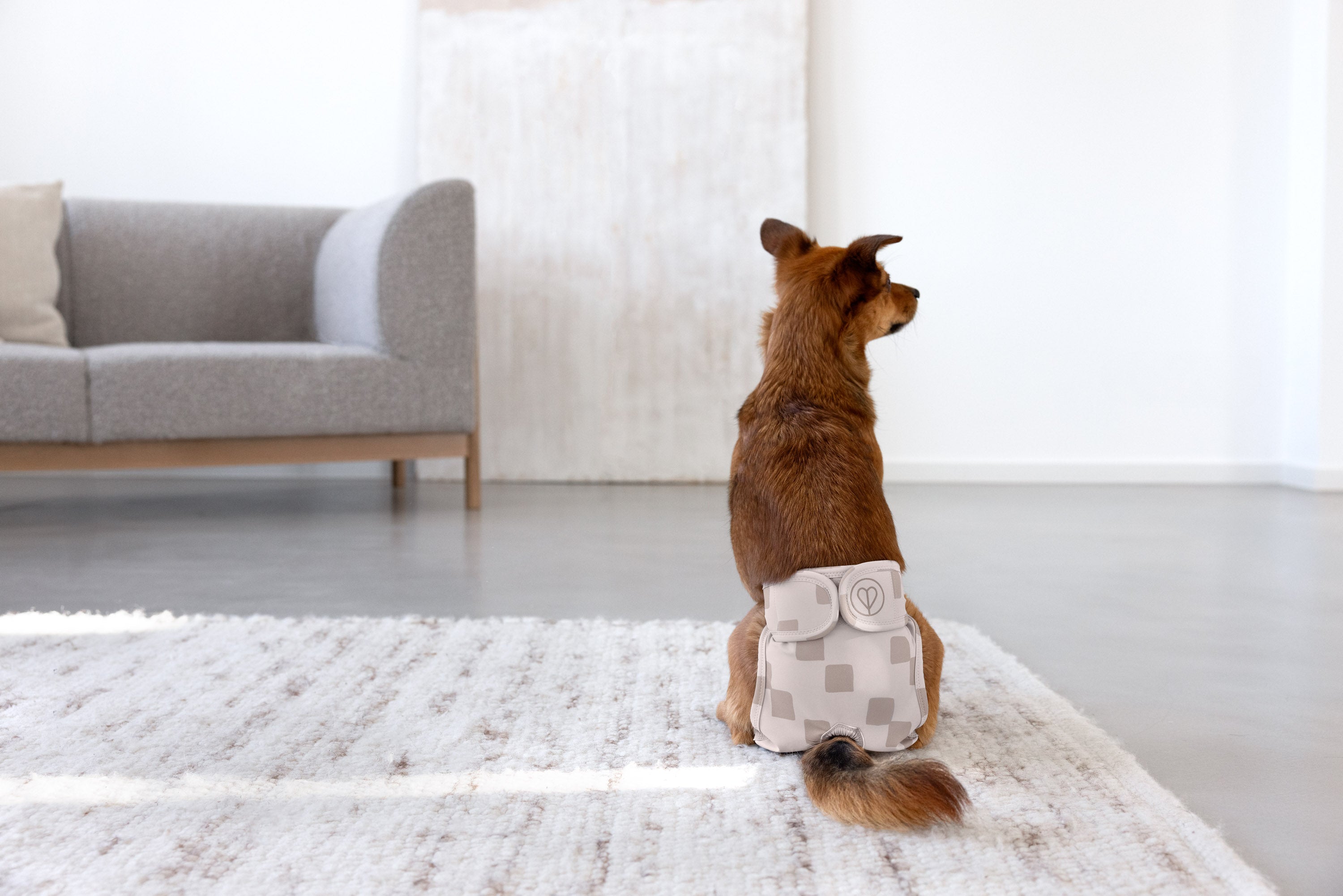 PALOPA Läufigkeitshose & Hundewindel Glan Taupe umweltfreundliche Hundewindeln