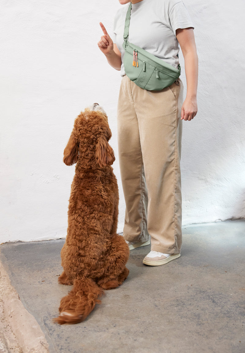 PALOPA Leckerlibeutel Emma Gruen gruene Umhaengetasche fuer Hundehalter
