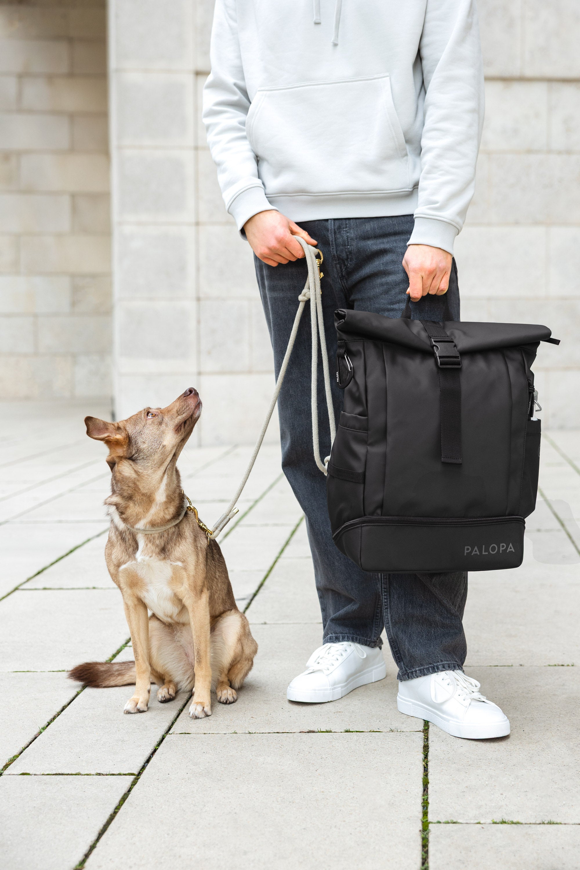 PALOPA Rucksack Rolltop Yoska Schwarz Equipmentrucksack Hund 