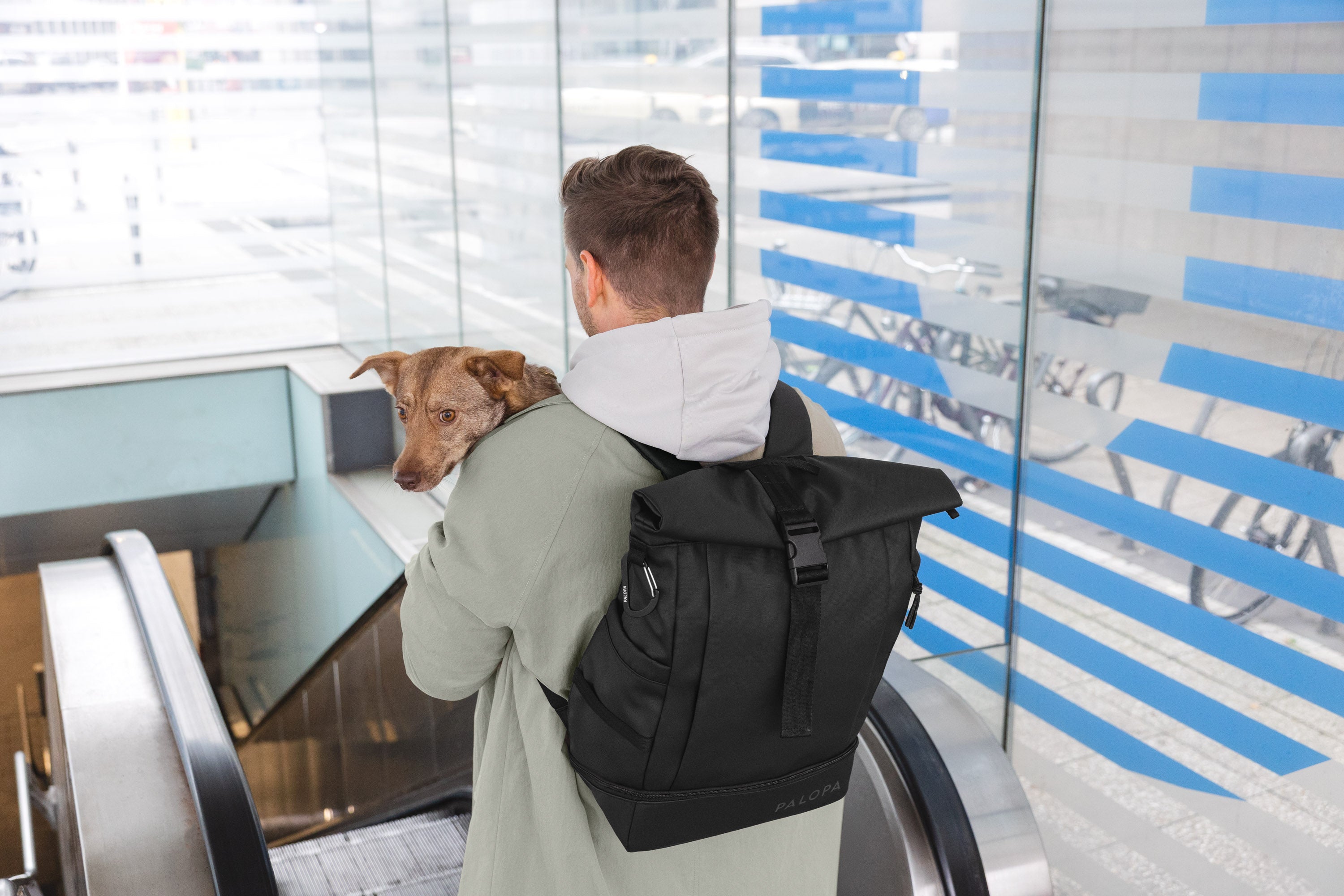 PALOPA Rucksack Rolltop Yoska Schwarz Hunderucksack 
