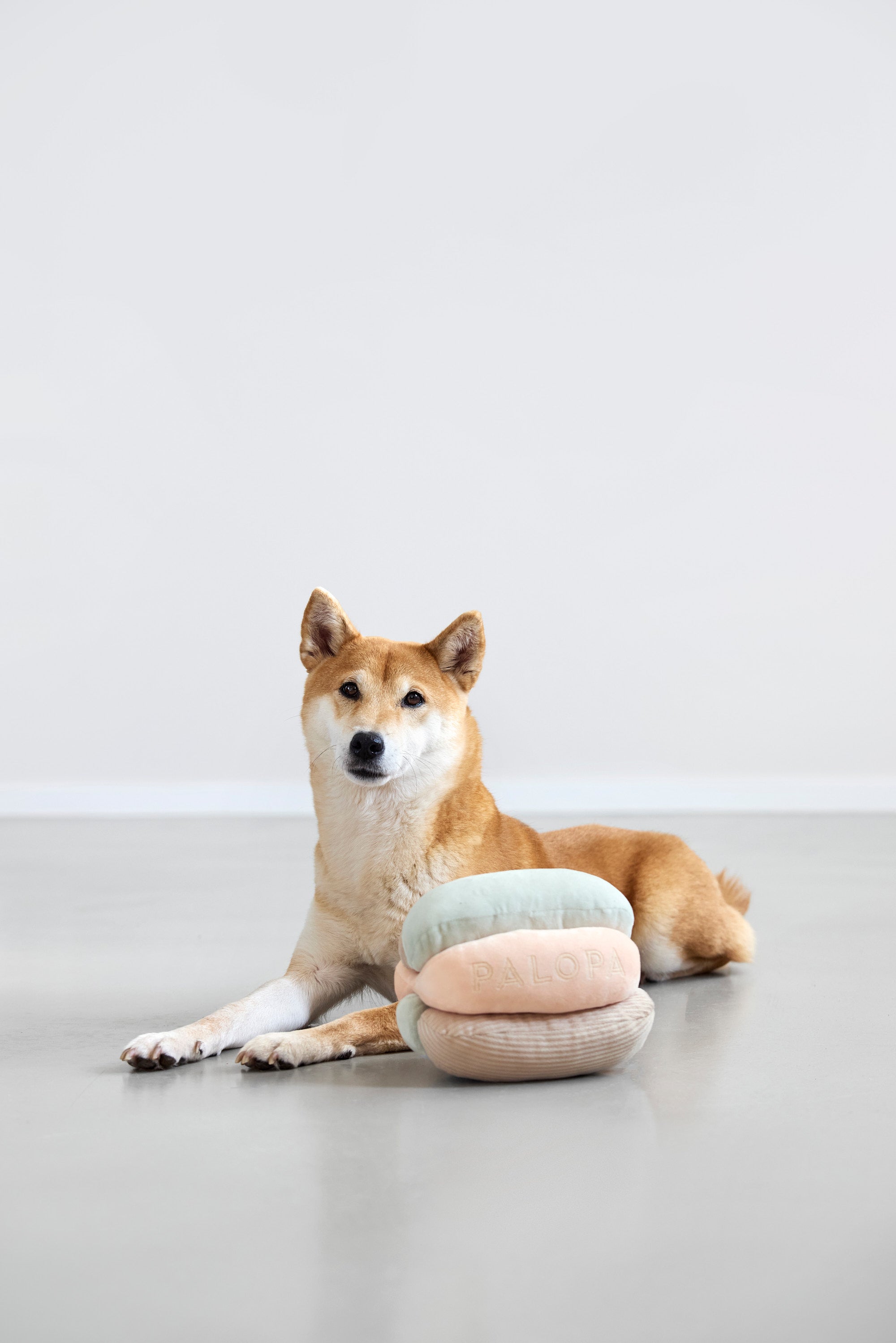 PALOPA Schnüffelspielzeug Brino Hundespielzeug Welpen