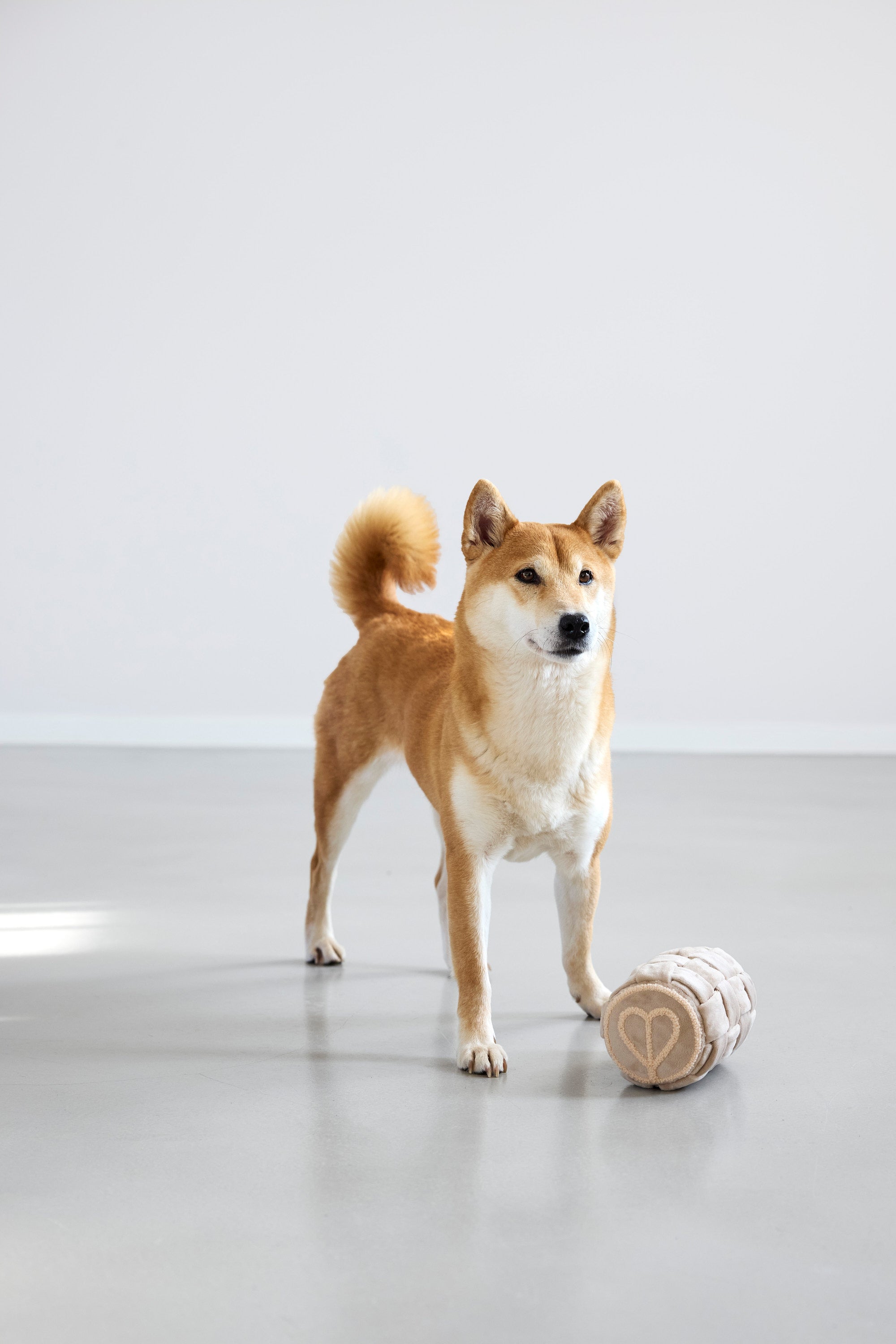 PALOPA Schnüffelspielzeug Kalpi Hundespielzeug Welpenspielzeug