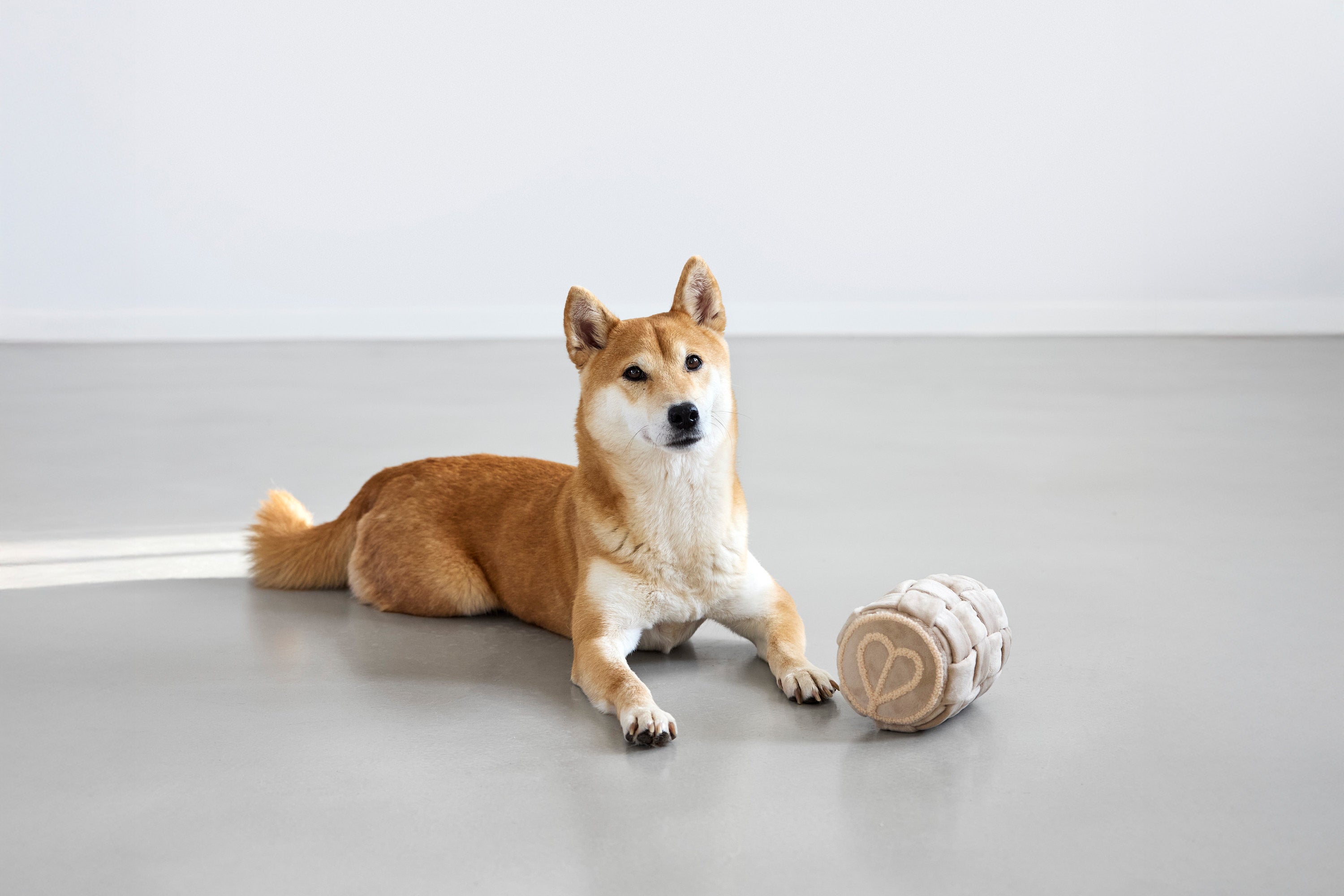 PALOPA Schnüffelspielzeug Kalpi Hundespielzeug 