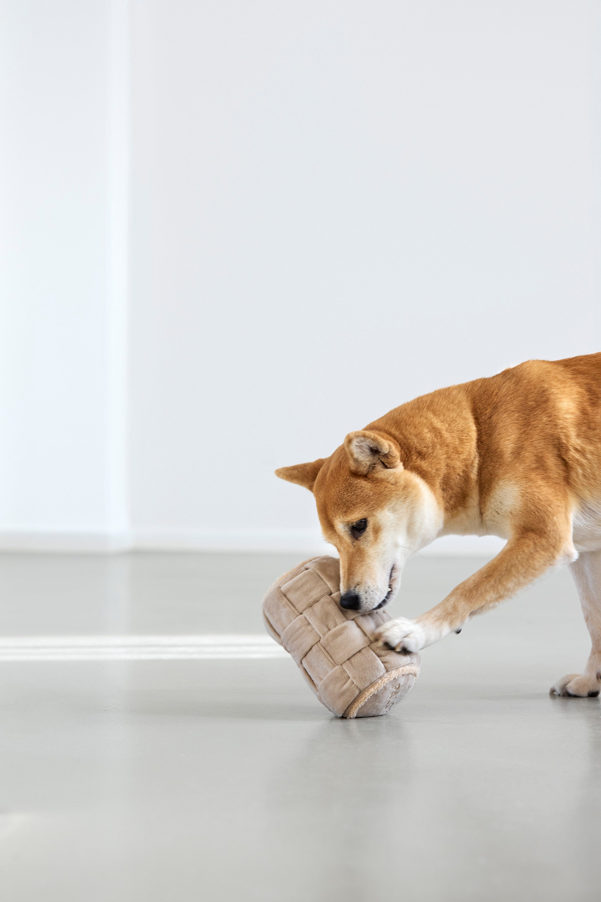 PALOPA Schnüffelspielzeug Kalpi Spielzeug für Hunde 