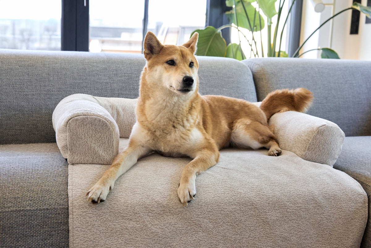 PALOPA Sofa Schutzmatte Rika Beige Hundedecke Sofa