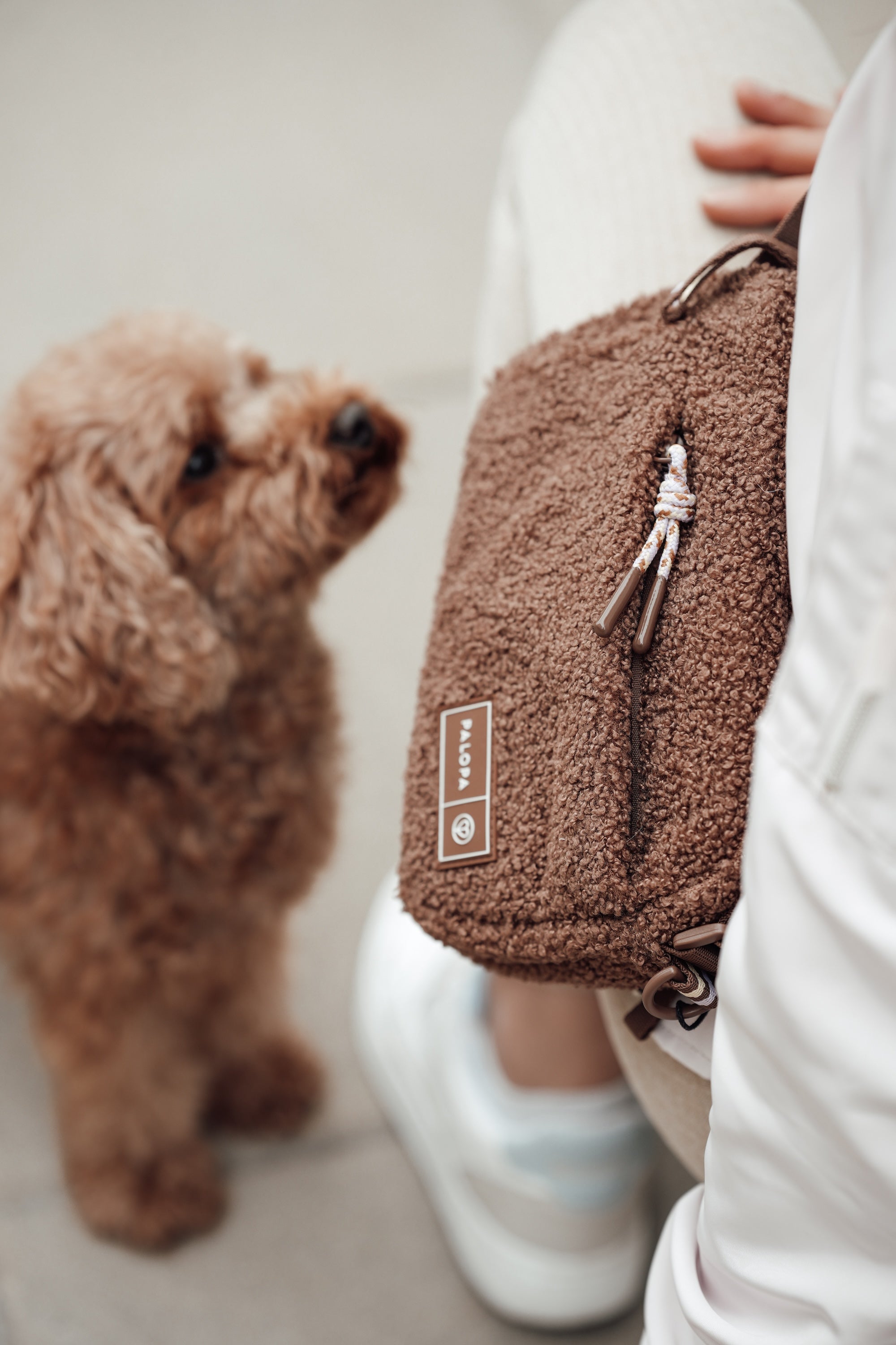 PALOPA Square Bag Noka Teddy Fleece Leckerlibeutel wasserabweisend