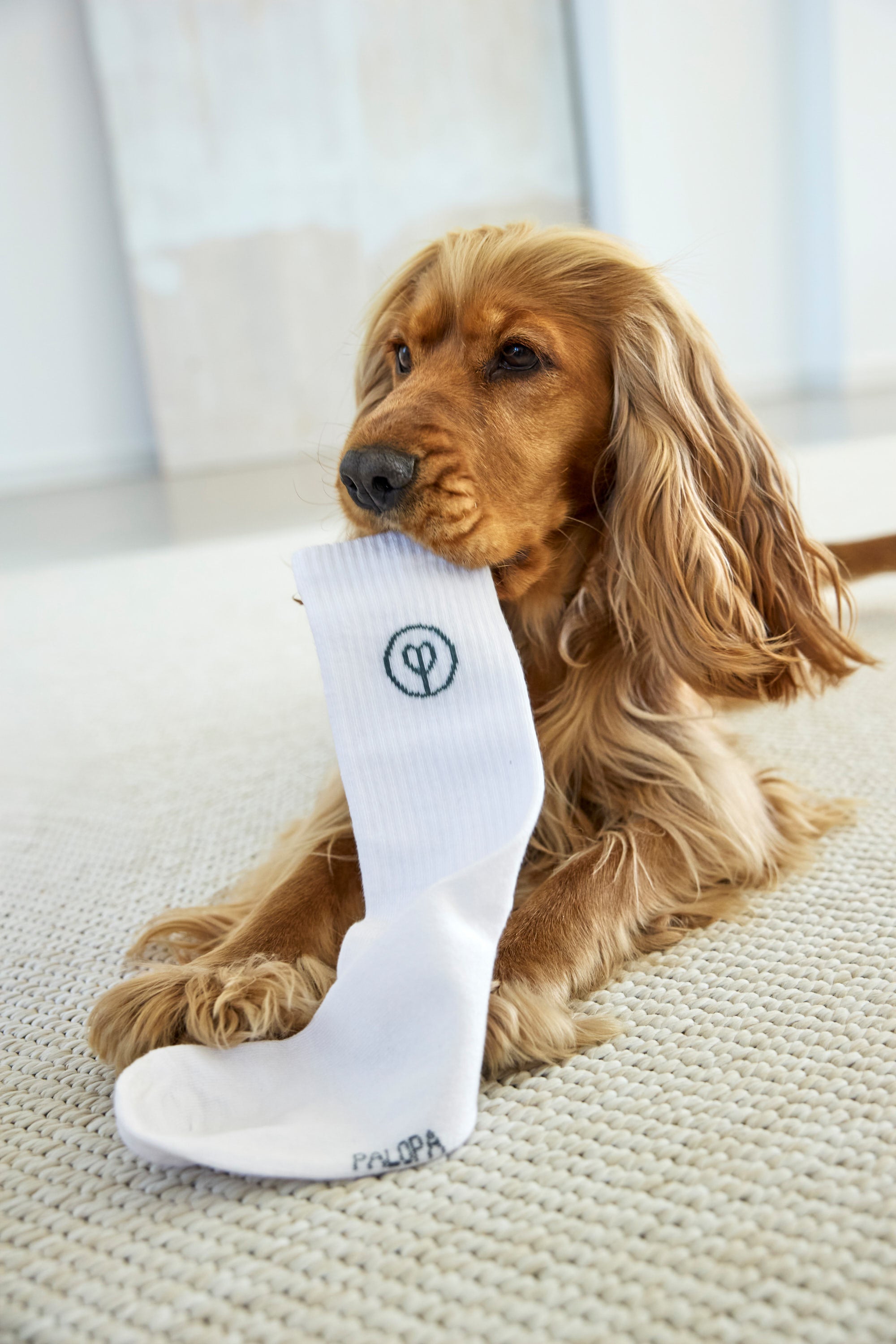 PALOPA Tennis Socken GOTS Logo Orange Blue Grey Socken Dog Parents 