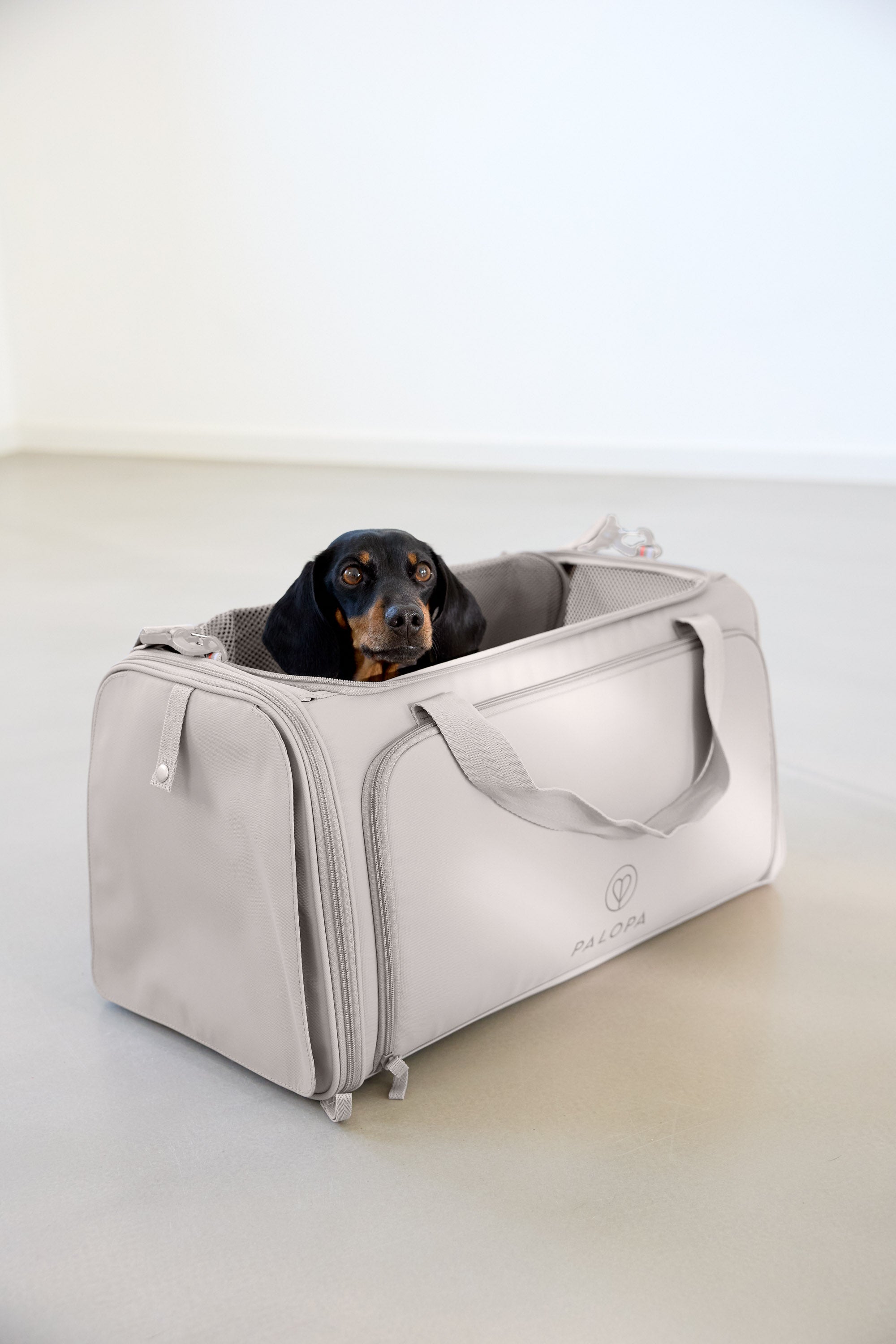 PALOPA Travel Carrier Bag Benno Taupe Hundereisetasche faltbar
