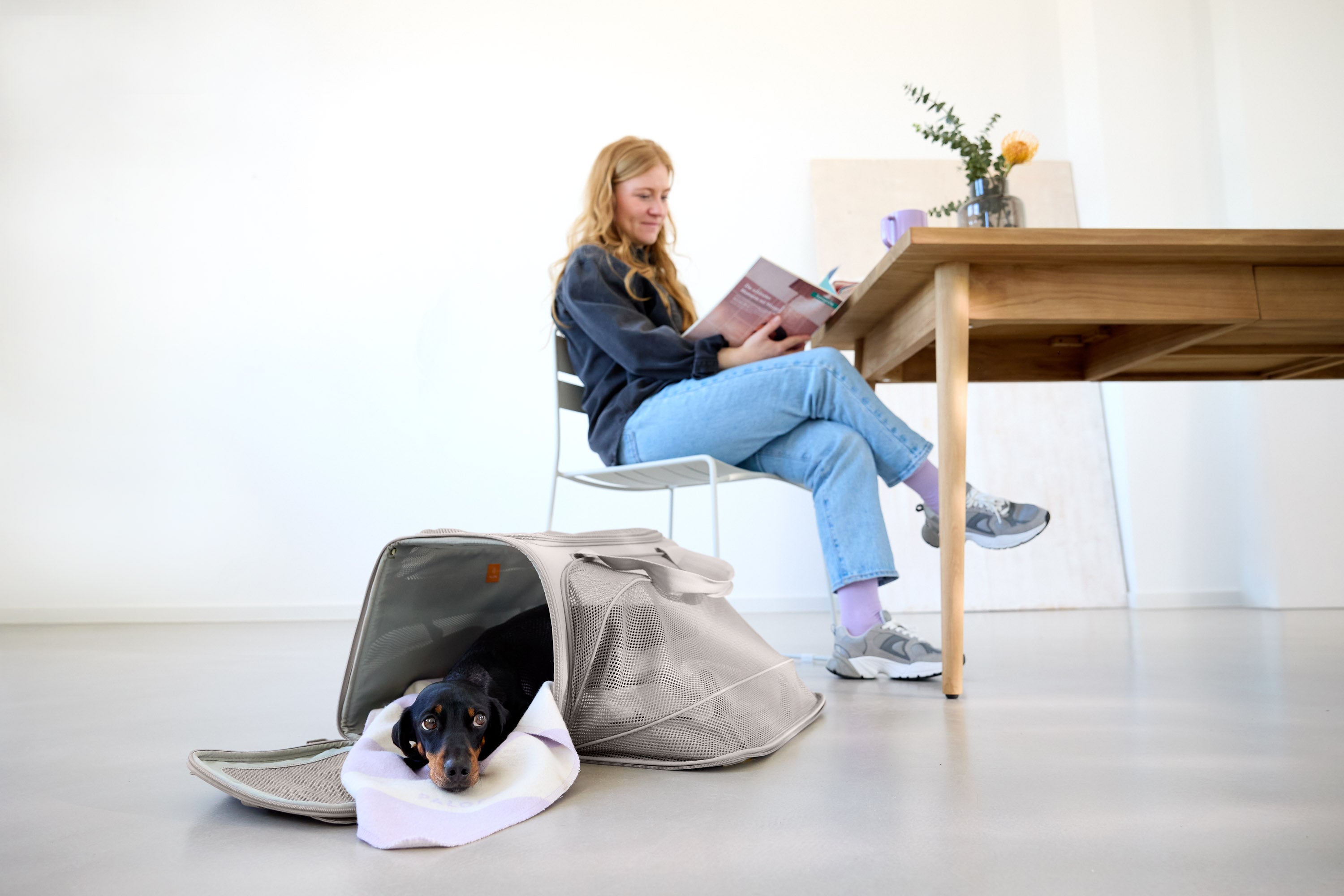 PALOPA Travel Carrier Bag Benno Taupe Hundetasche Flugzeug