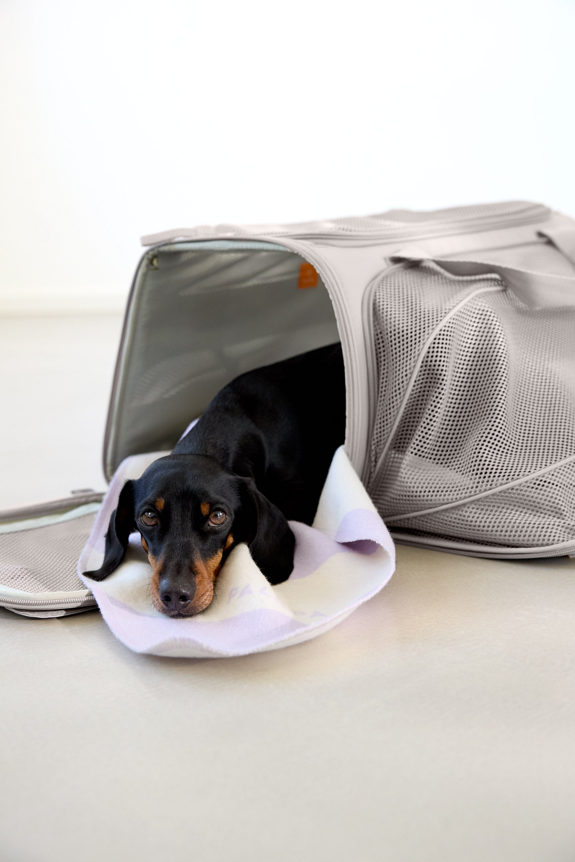 PALOPA Travel Carrier Bag Benno Taupe Hundetragetasche Reisen faltbar