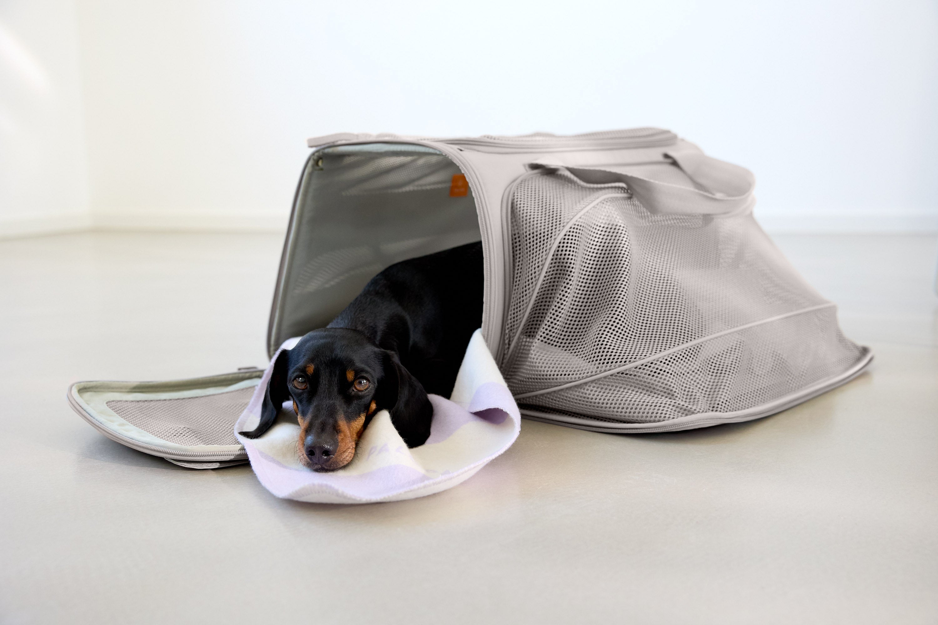 PALOPA Travel Carrier Bag Benno Taupe Hundetragetasche zum Umhängen