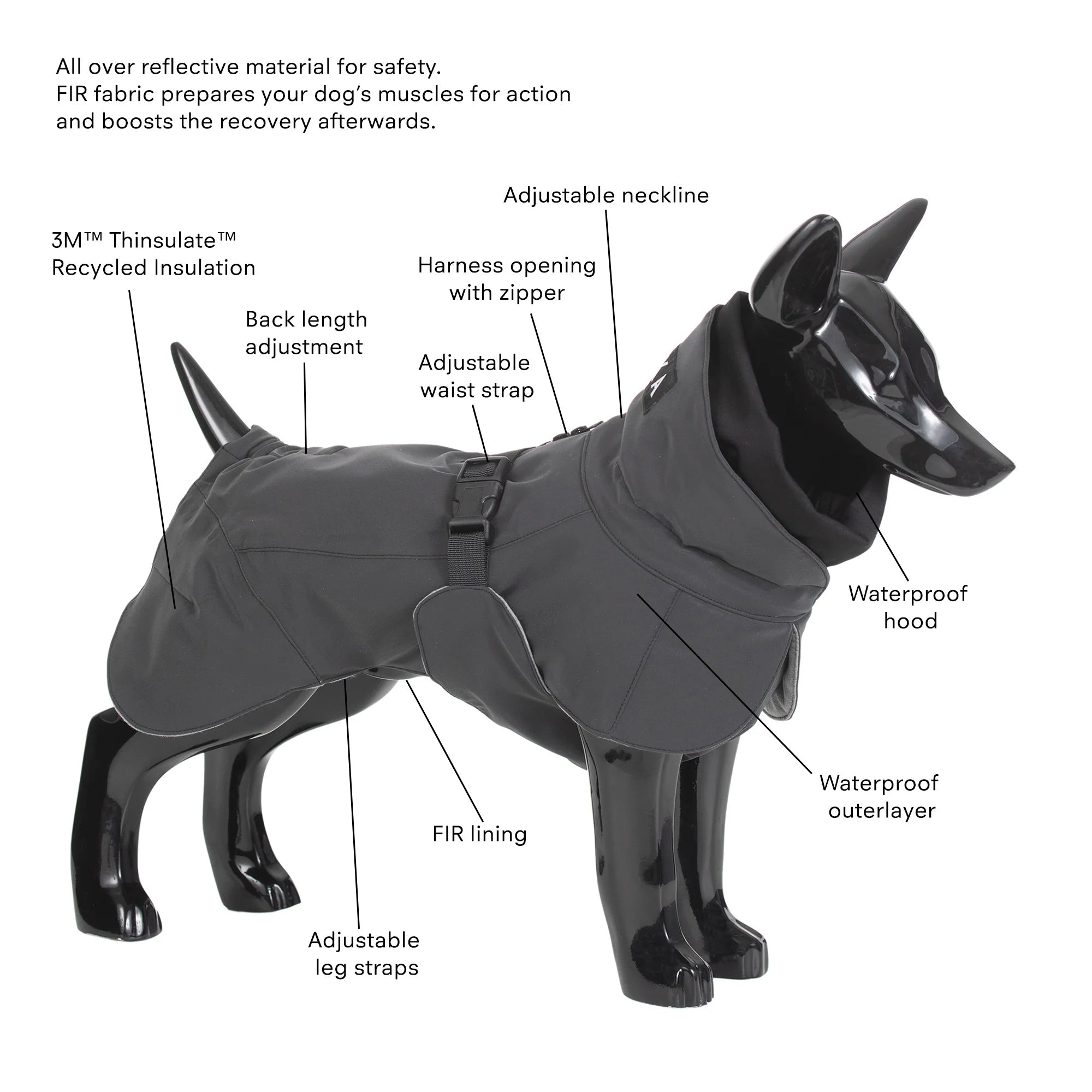 Paikka Hochreflektierende Hundewinterjacke dunkel grauer Hundemantel