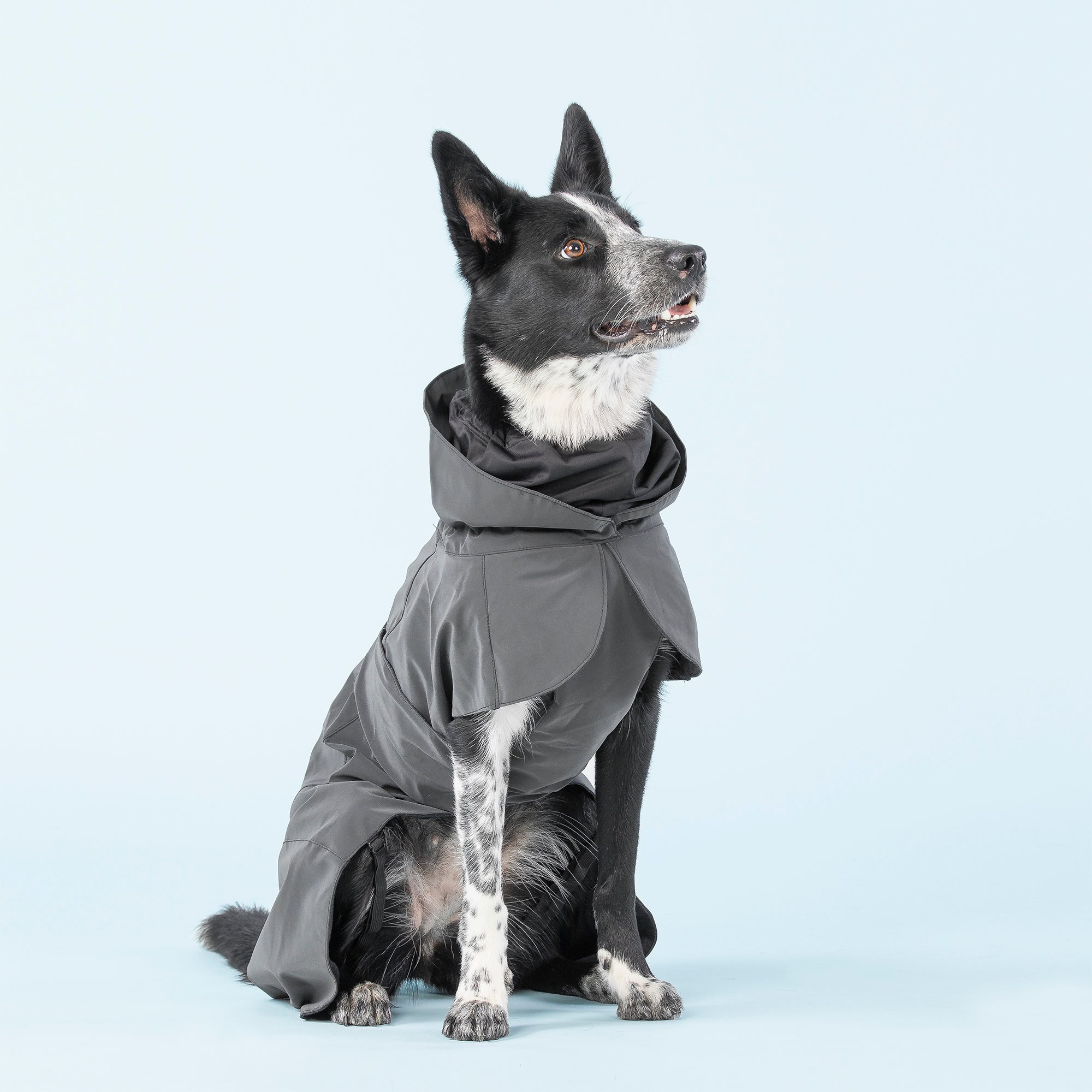 Paikka Hochreflektierender Hunderegenmantel Visibility Dark hochwertiger Hunderegenmantel mit Kragen