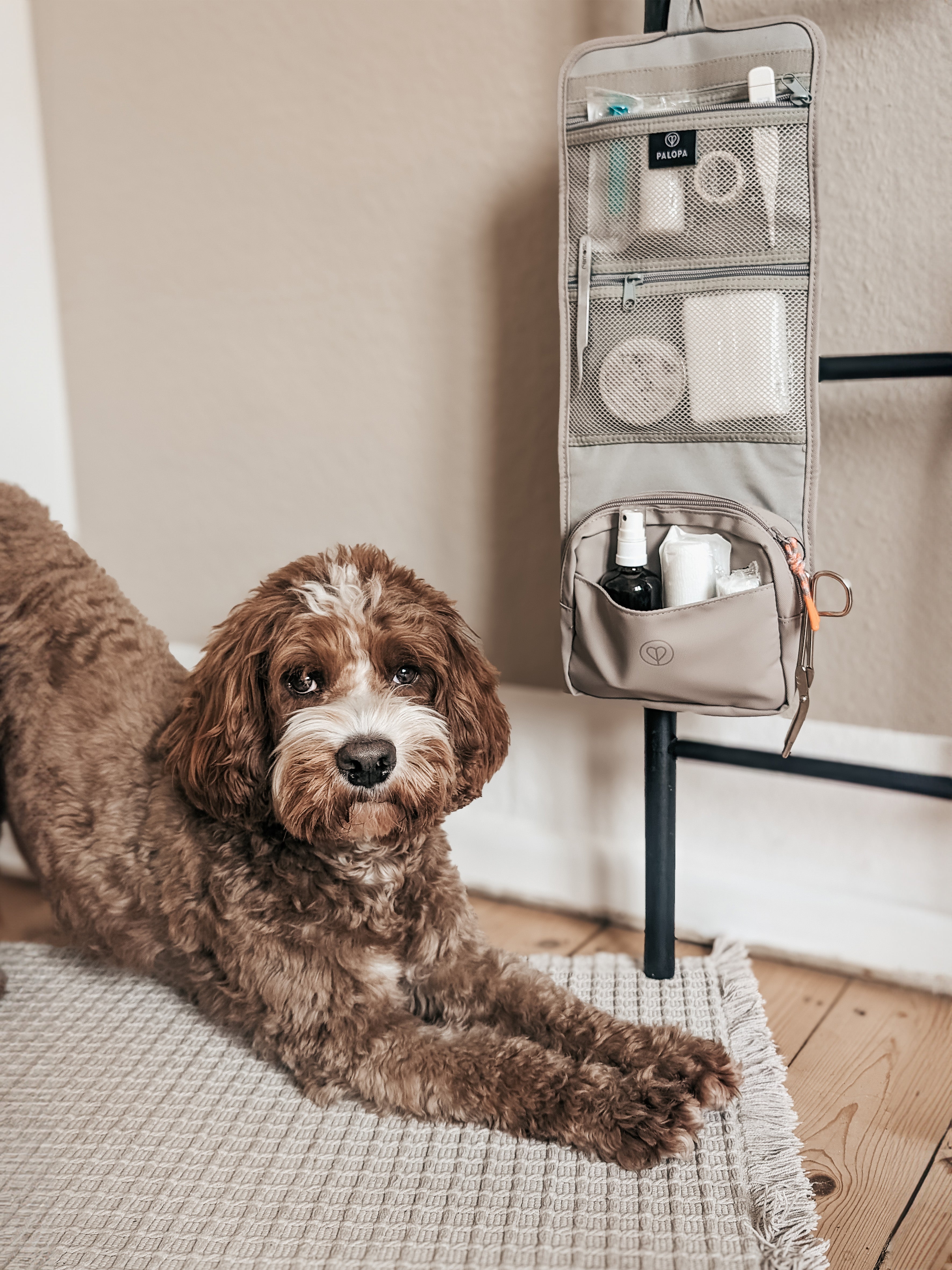 PALOPA Erste-Hilfe-Set Bano Taupe Erste-Hilfe-Kit Hunde Ausstattung