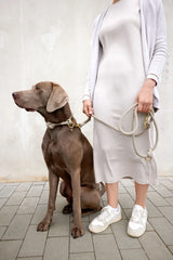 Palopa Hundehalsband geflochten Mila Natur Halsband fuer Hunde