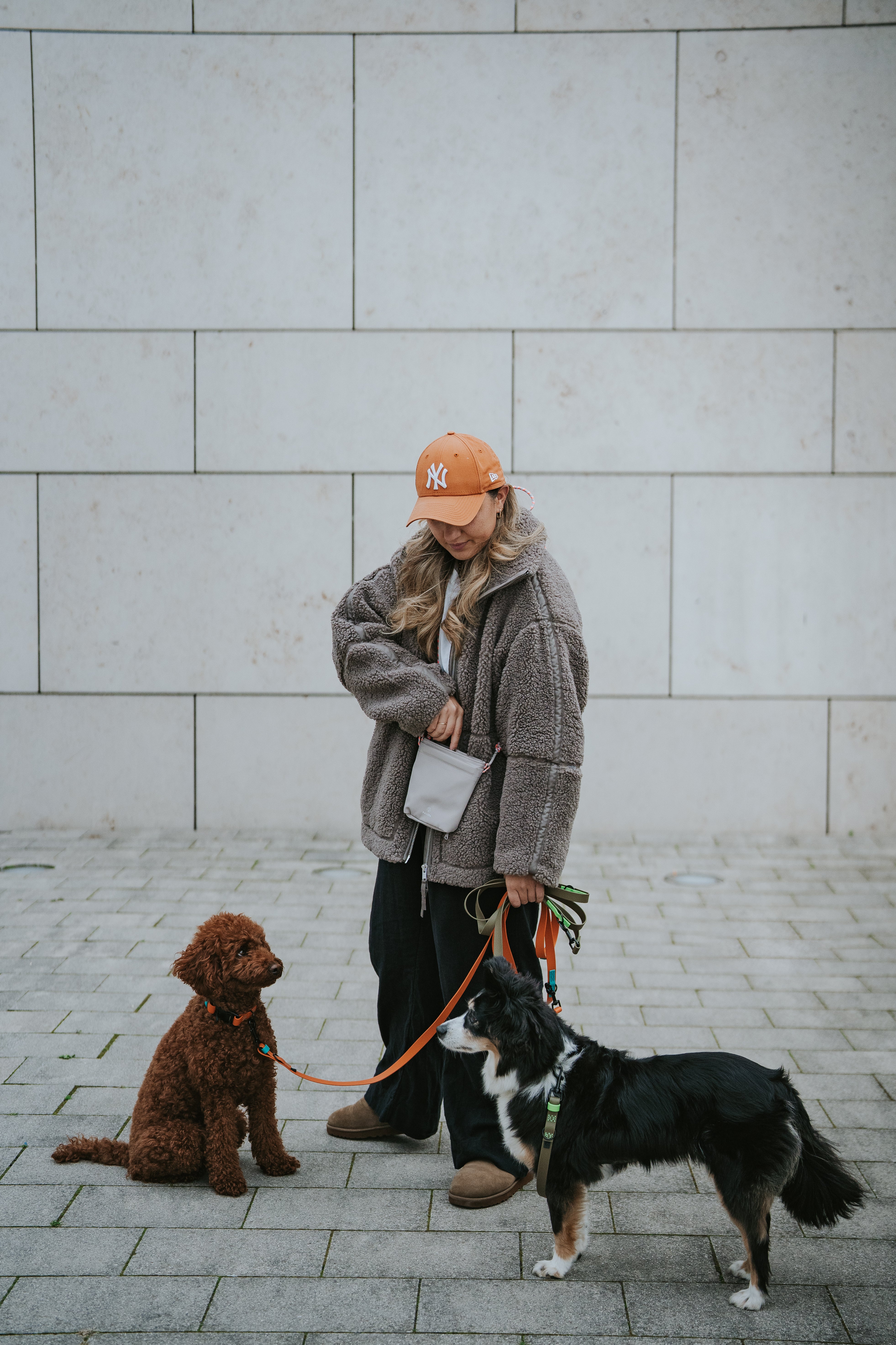 PALOPA Leckerlibeutel Karl Taupe Umhängebeutel Gassitasche Hund Bauchtasche