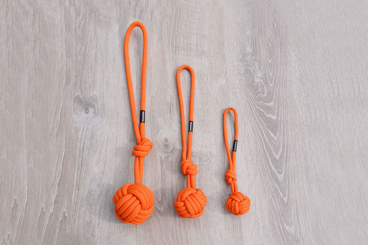 Treusinn Eco Tau-Spielzeug Bolly Orange Wurfspielzeug für Hunde