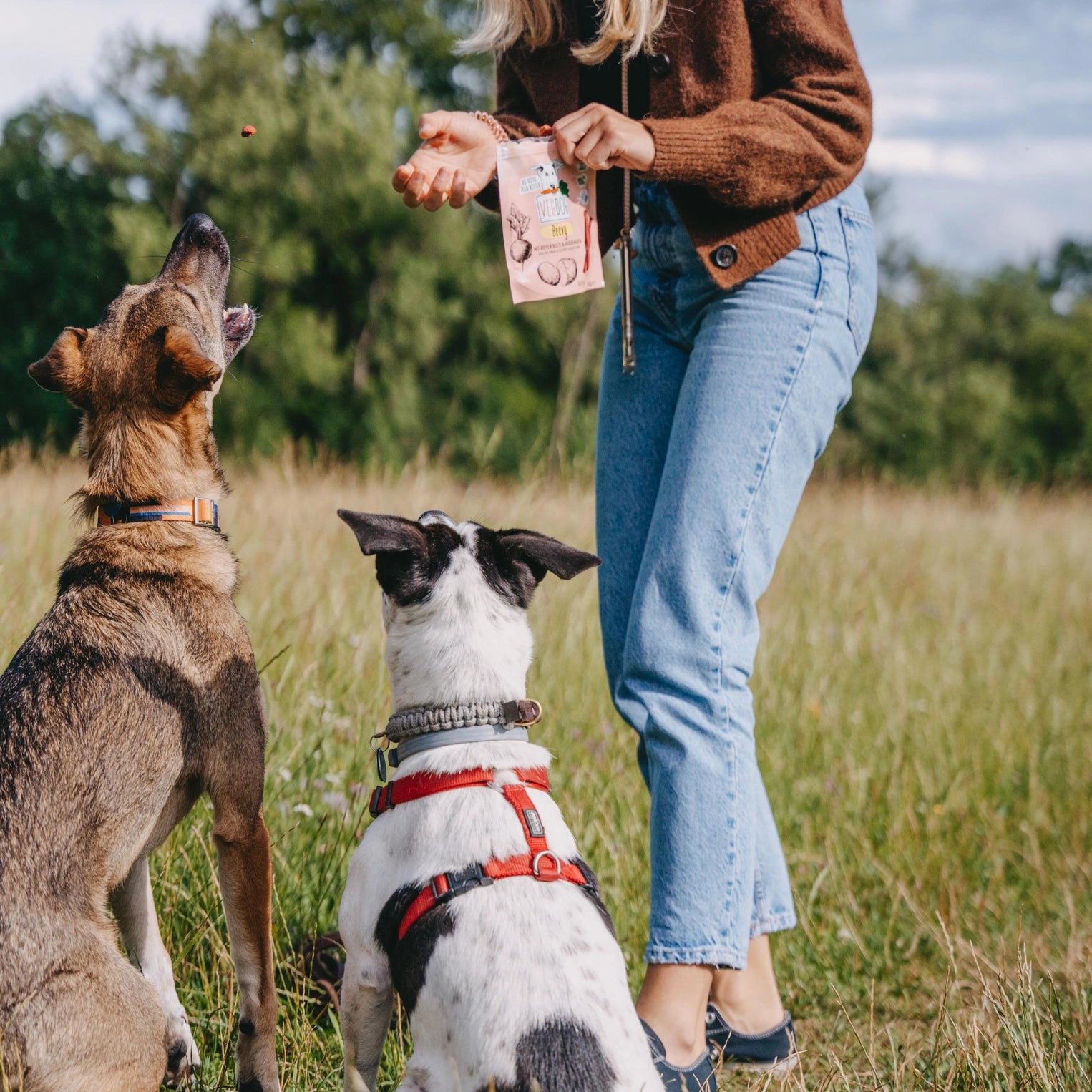 VEGDOG_Beevys Hundeleckerlis für Allergiker