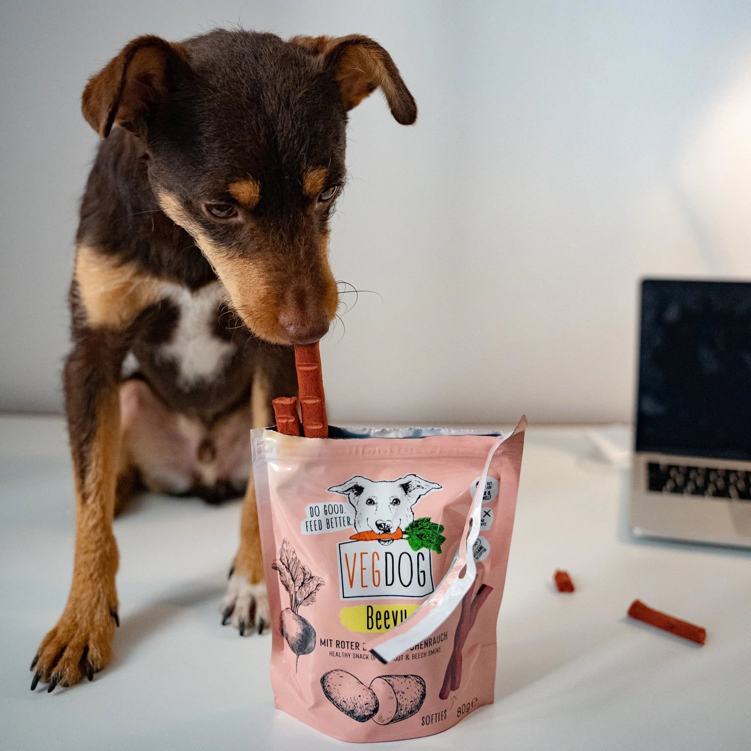 VEGDOG_Beevys Hundefutter hypoallergen