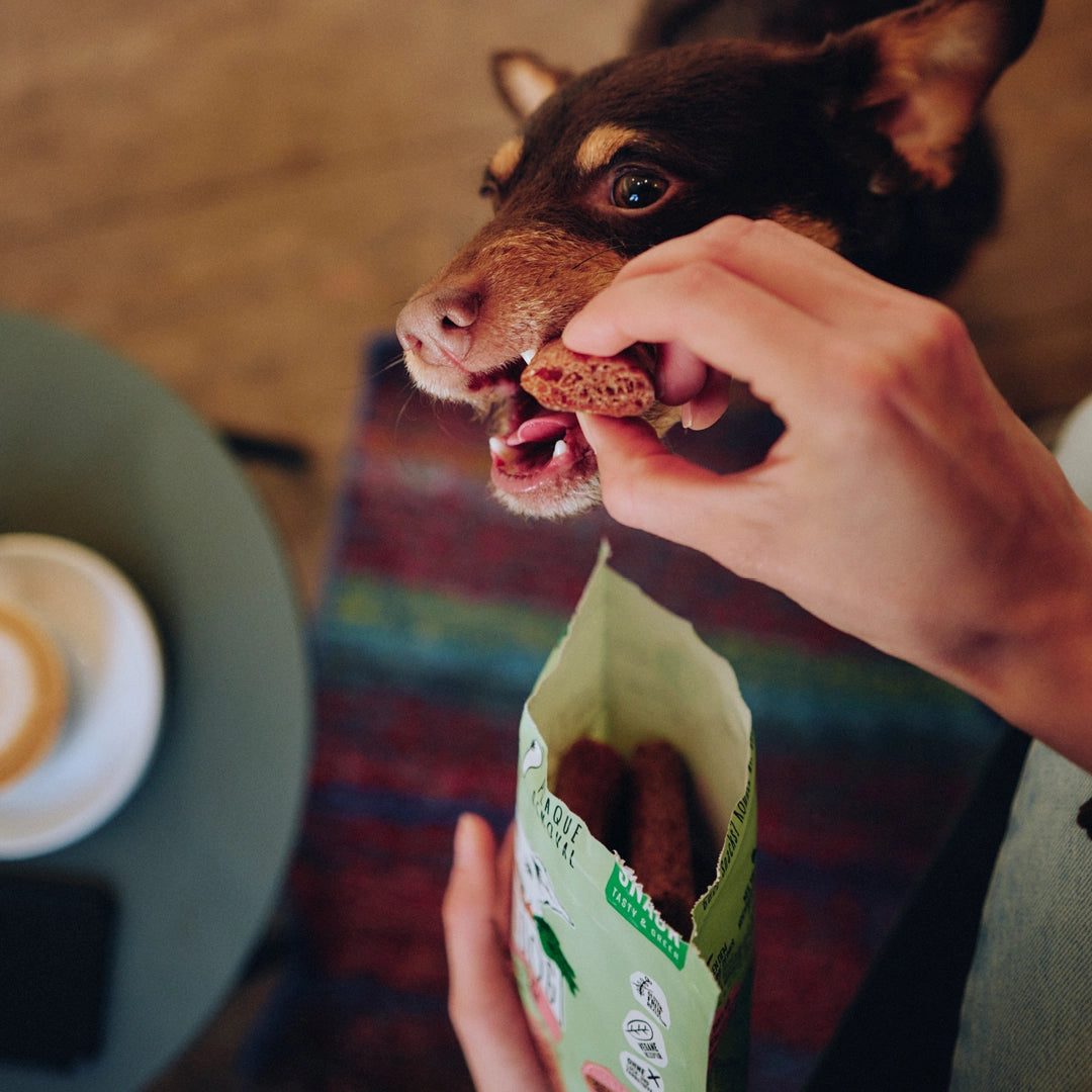 VEGDOG Dentals Zahnpflege für Hunde Snack