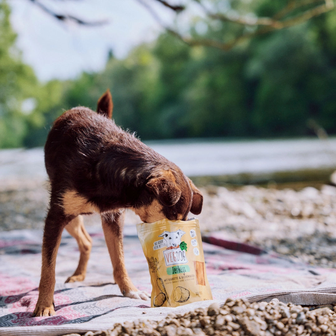 VEGDOG Jerkeys Hundeleckerlis hypoallergen für Allergiker