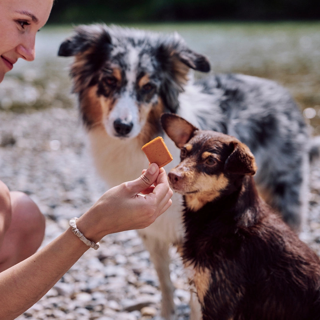 VEGDOG Jerkeys Hundeleckerlis vegan pflanzlich