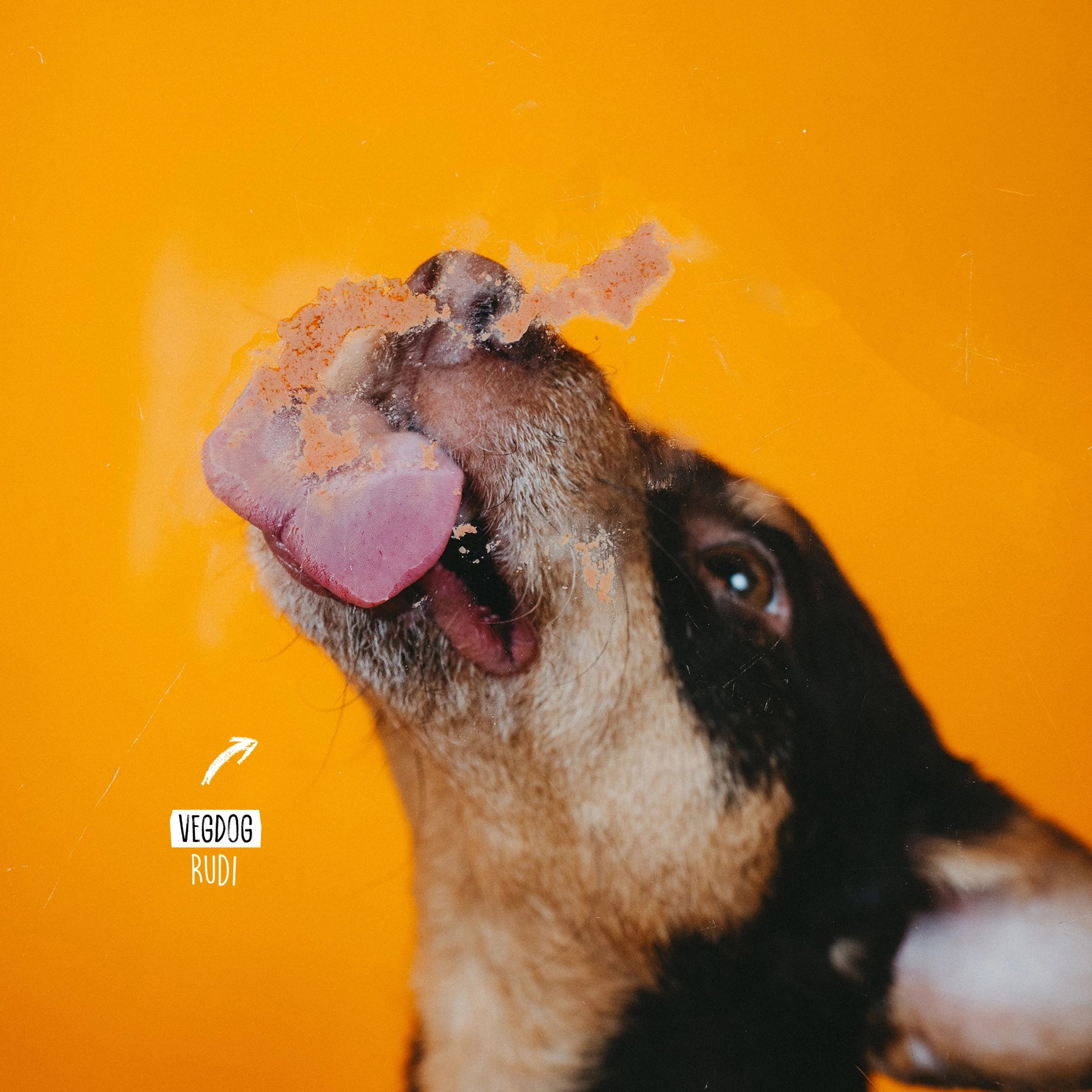 VEGDOG Levervurst Tube Snack für Hunde vegan