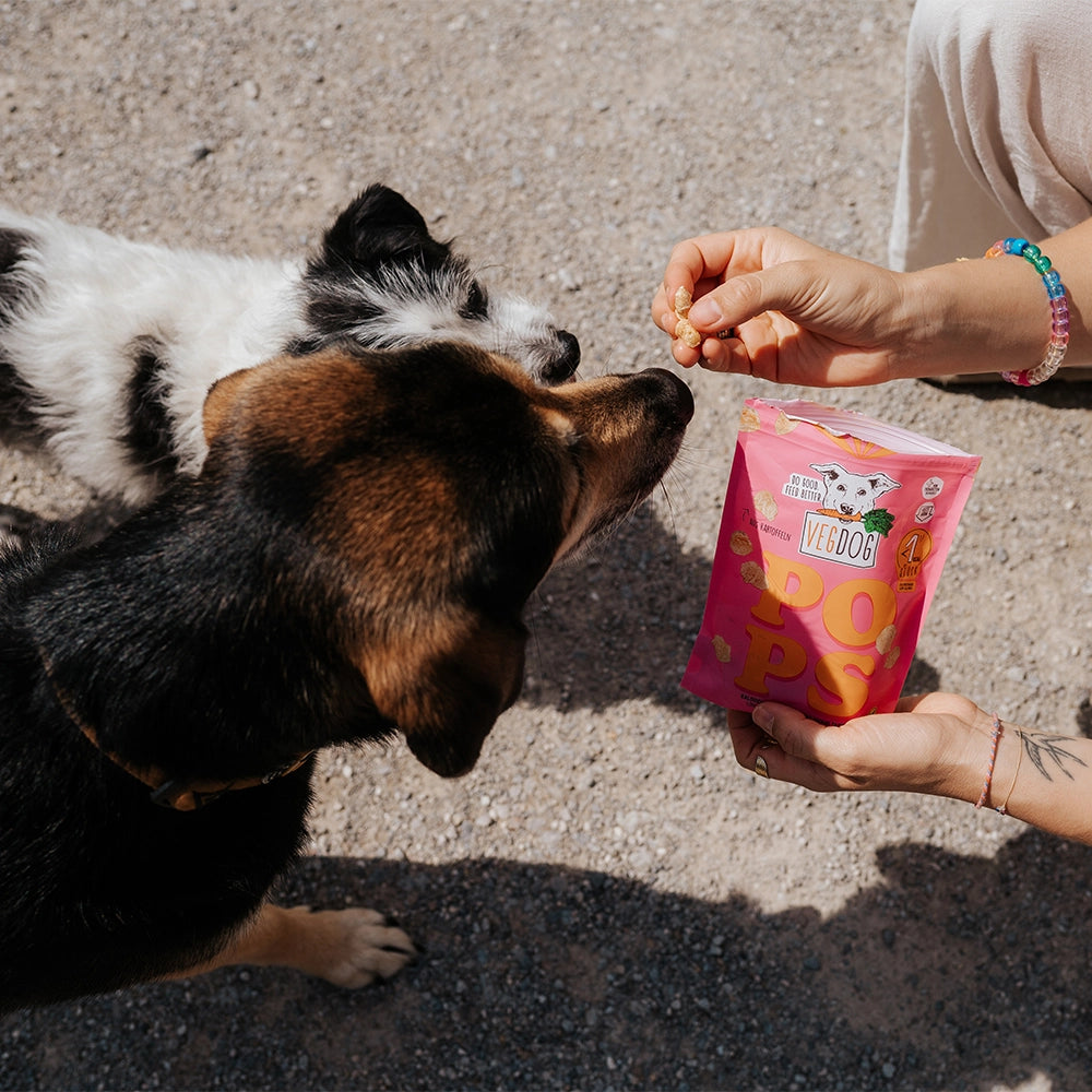 VEGDOG Pops Hundeleckerlis pflanzlich Hundeleckerlis hypoallergen für Allergiker