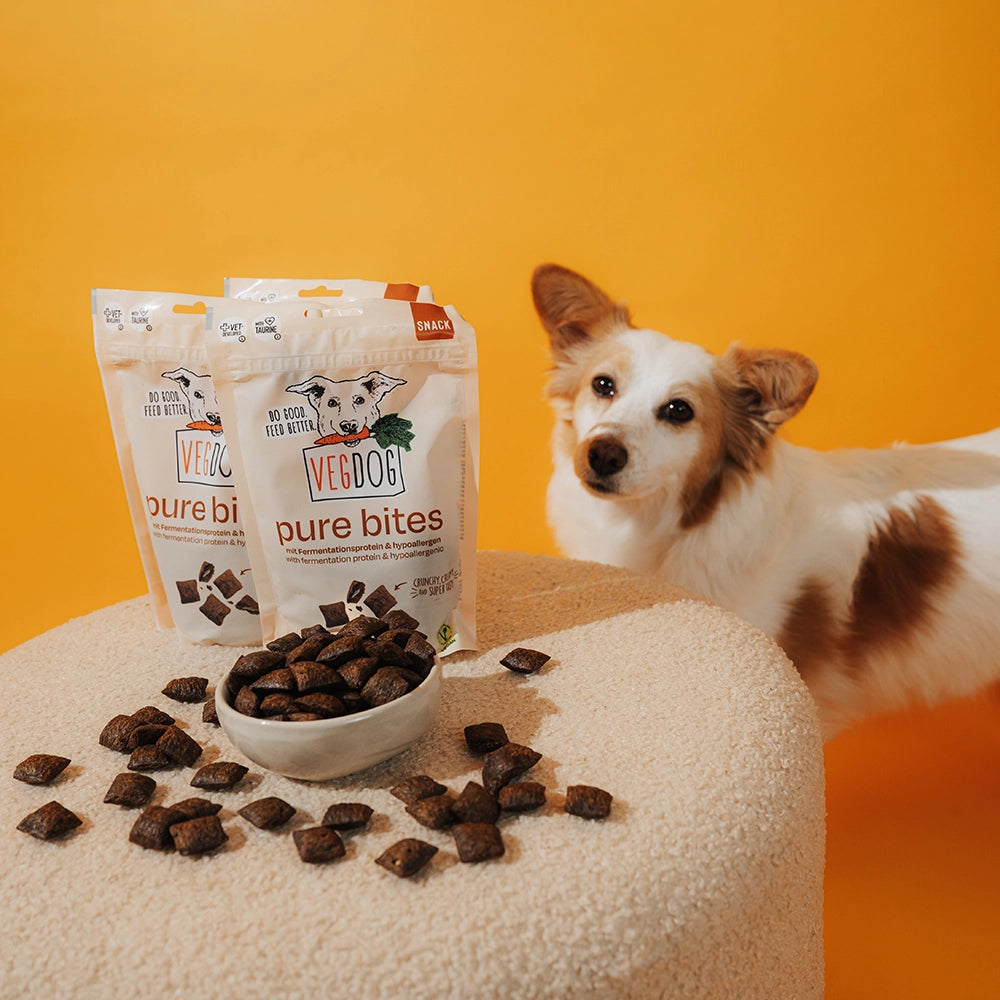 VEGDOG Pure Bites Hundeleckerlis für Allergiker