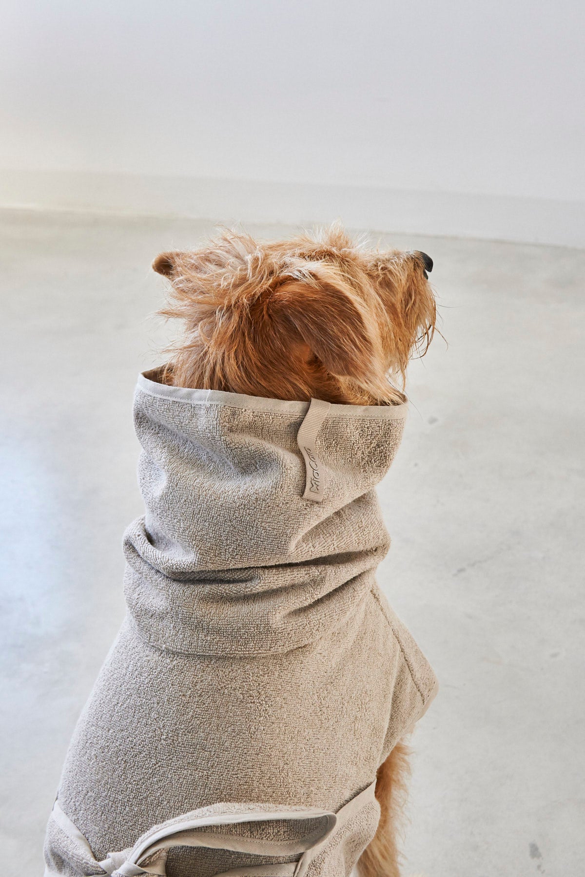 MiaCara Bagno Hundebademantel Greige Bademantel für Hund