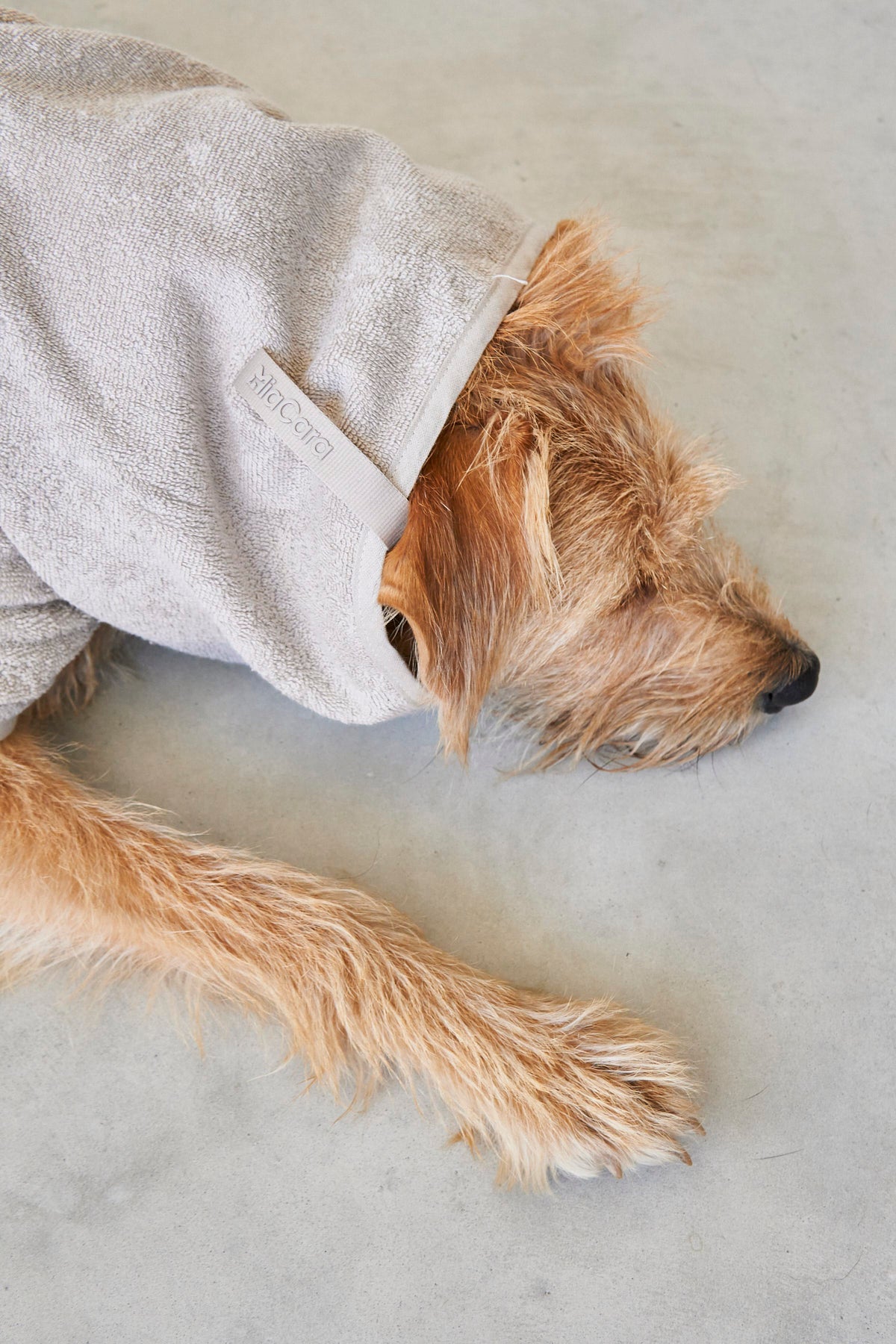 MiaCara Bagno Hundebademantel Greige Handtuch Hund 