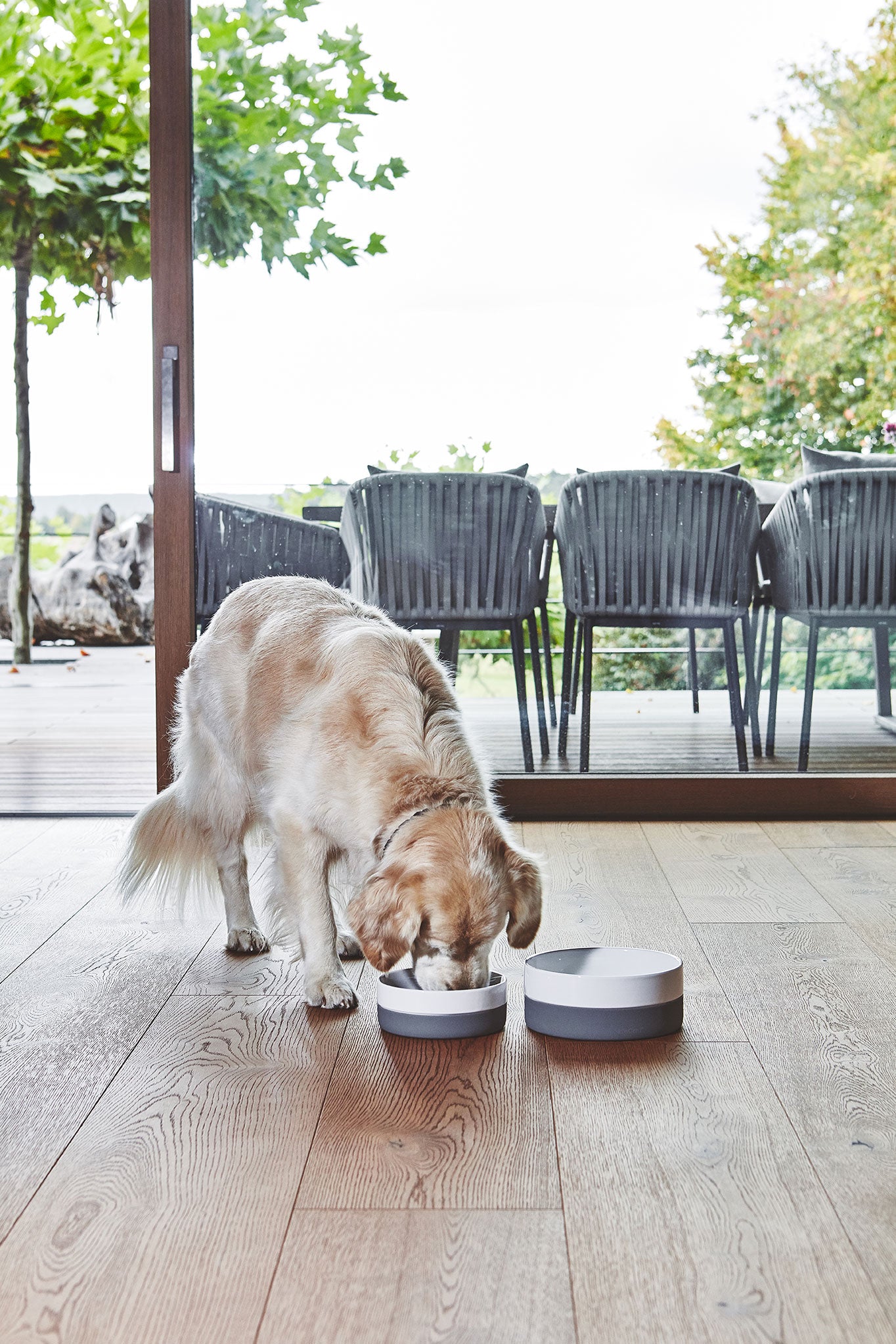MiaCara Coppa Napf Schiefer Napf Hund 