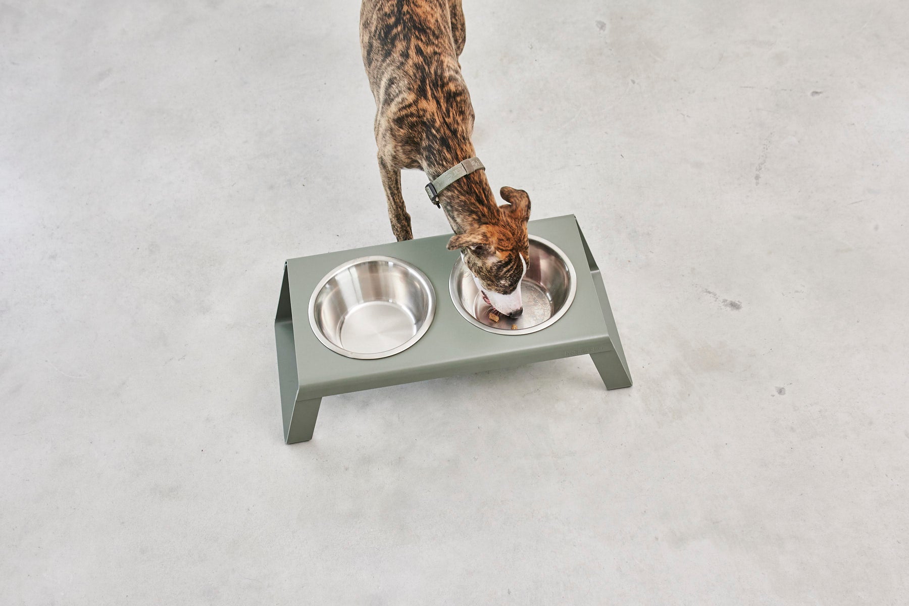 MiaCara Desco Napfständer Alu Grolive mit Edelstahlnäpfen Napfständer Hund Grolive 