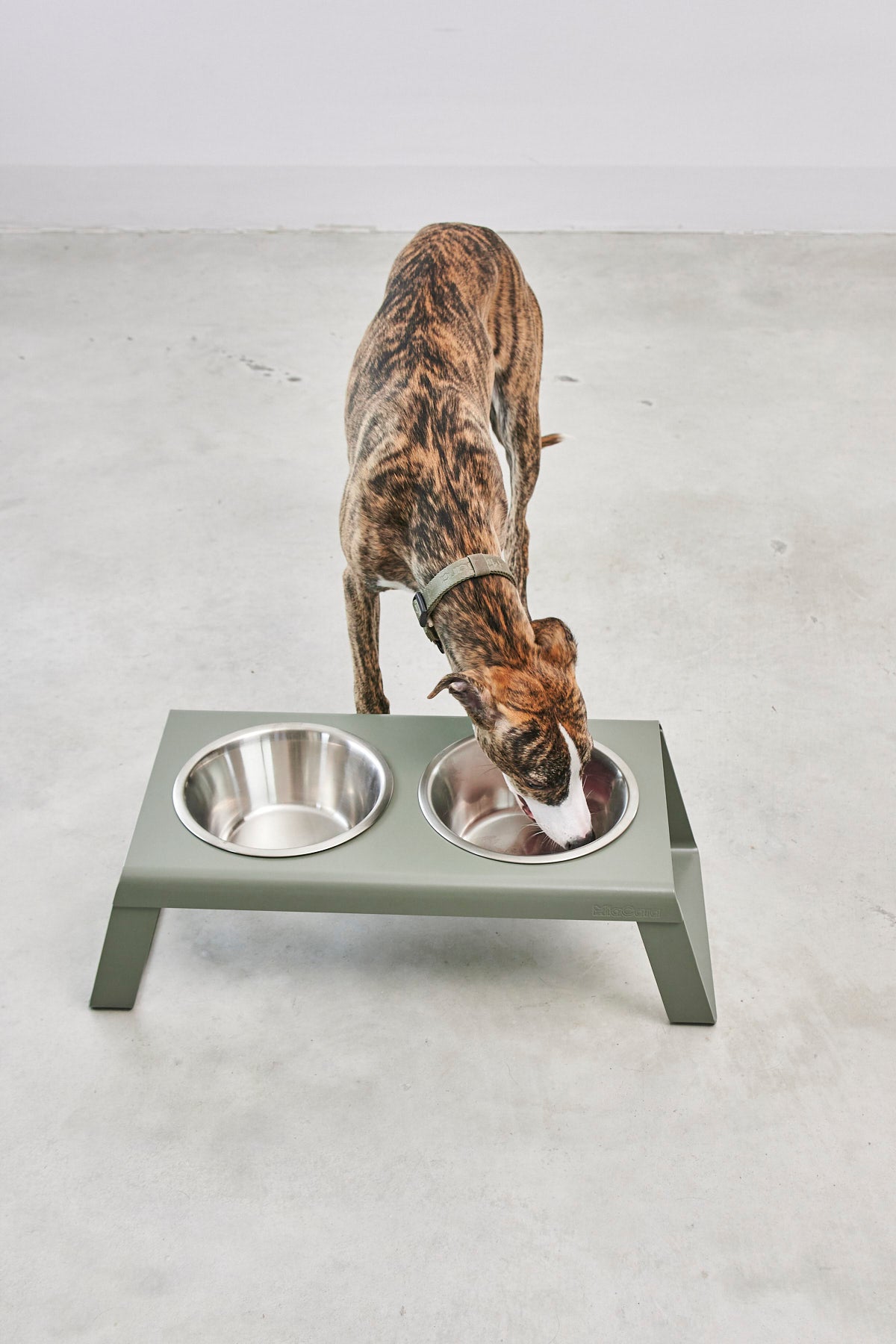 MiaCara Desco Napfständer Alu Grolive mit Edelstahlnäpfen Napfständer für Hunde