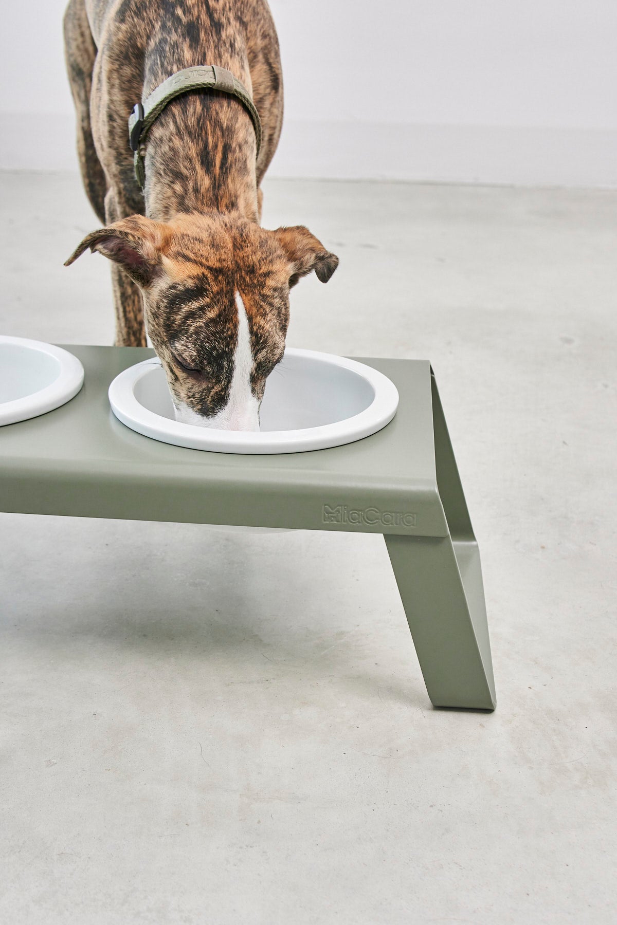 MiaCara Desco Napfständer Alu Grolive mit Porzellannäpfen Porzellannapfständer