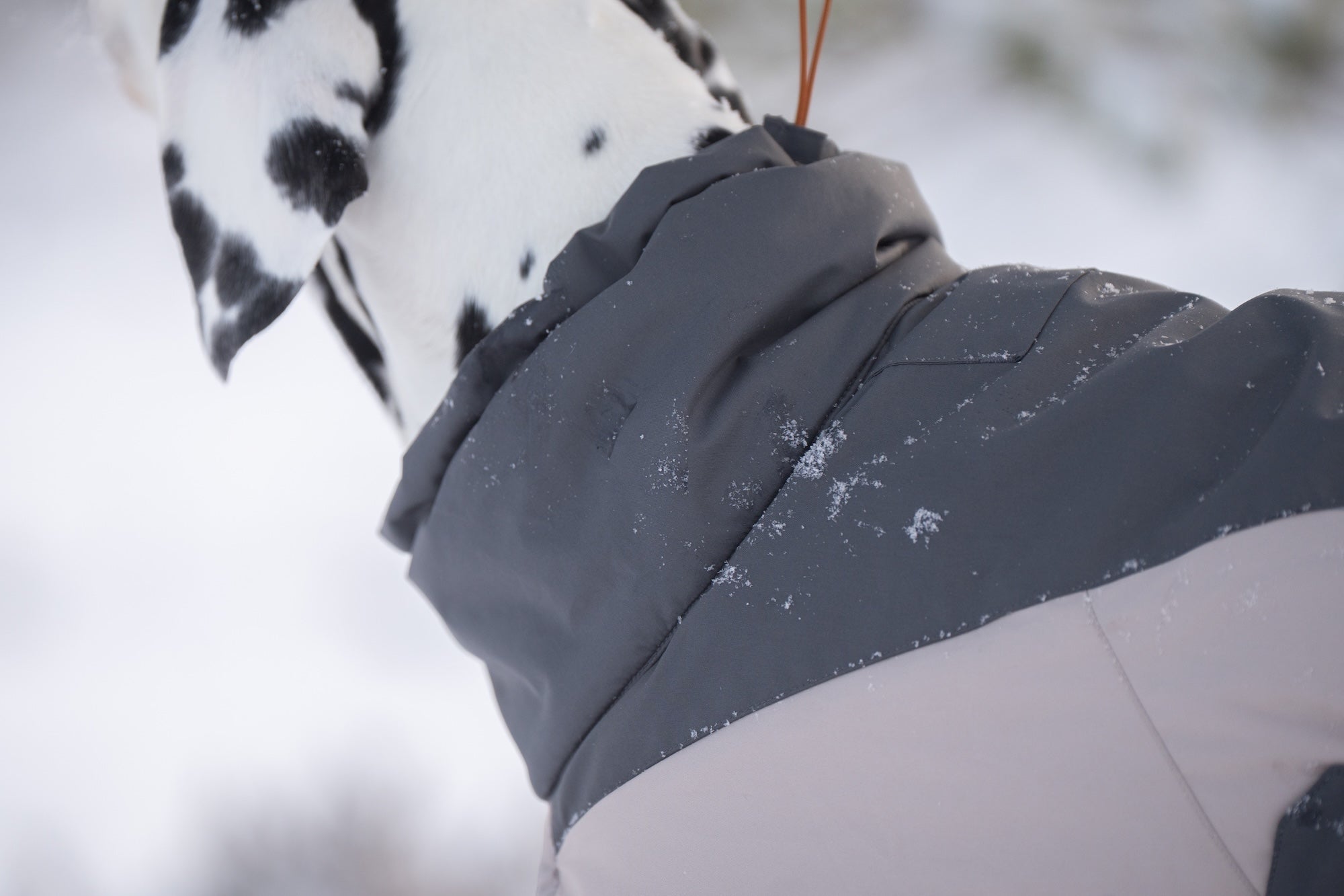 Non-stop dogwear® Glacier Wool Jacket 3.0 Gray Wintermantel Hund waschbar