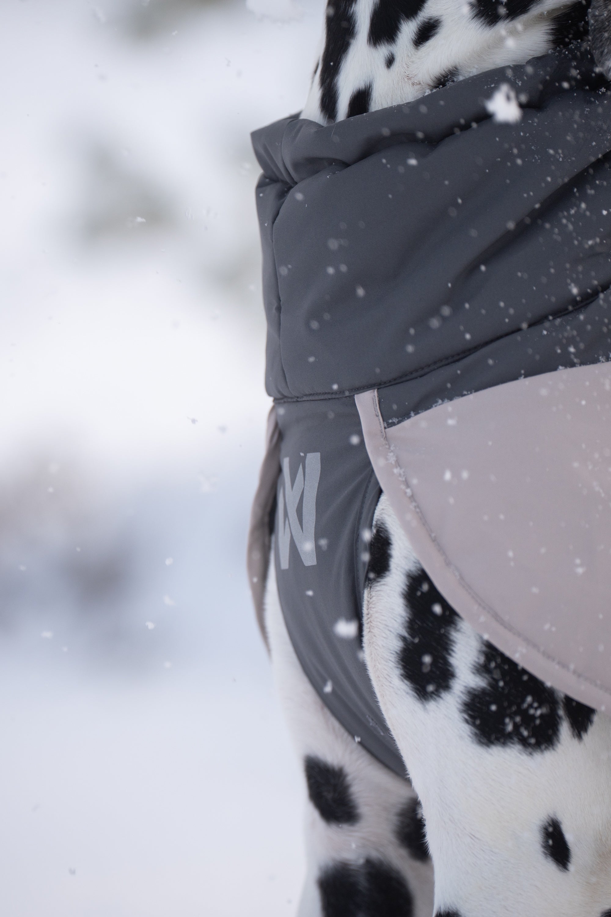 Non-stop dogwear® Glacier Wool Jacket 3.0 Gray Wintermantel Hund wasserabweisend