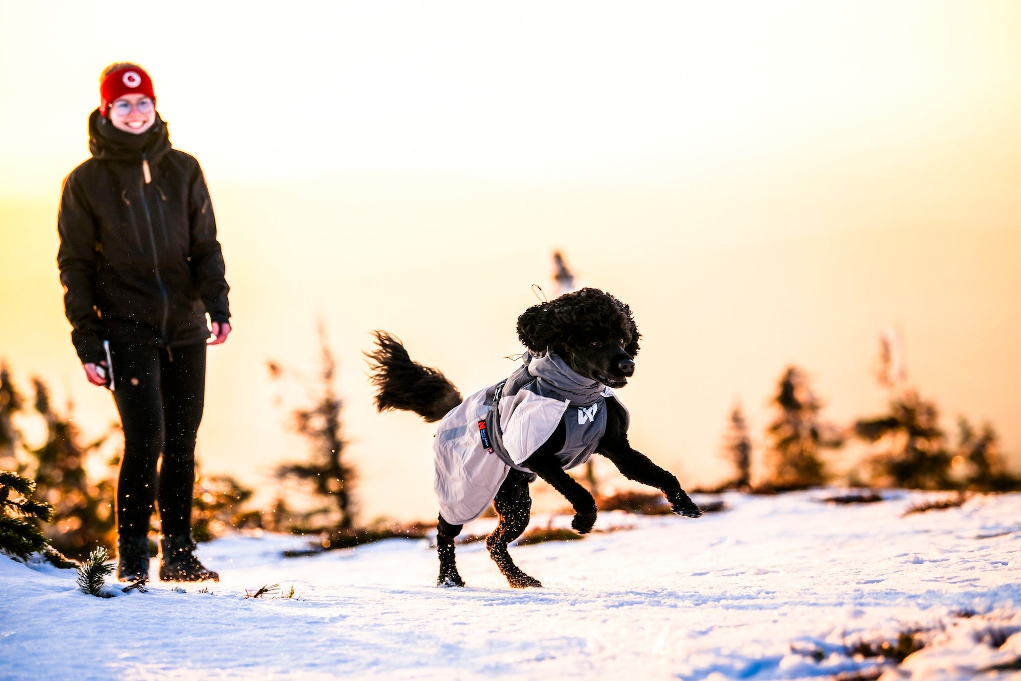 Non-stop dogwear® Glacier Wool Jacket 3.0 Gray Wintermantel für Hunde wasserabweisend