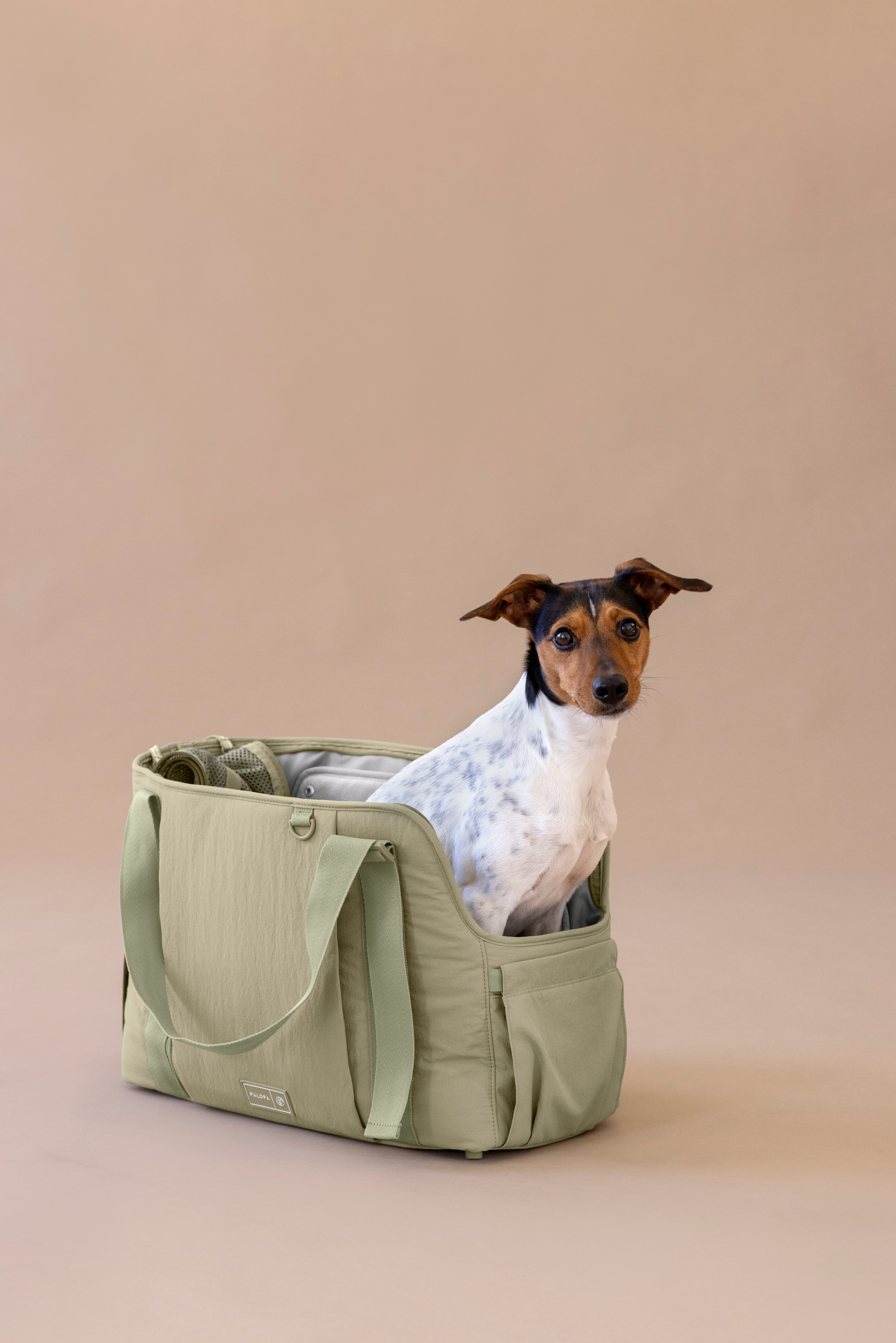 PALOPA Hundetragetasche Weda Crinkled pale olive