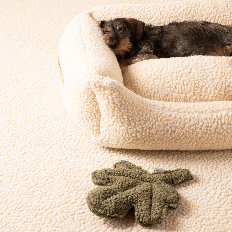 2.8 duepuntootto Henri Boucle Wool Dog Bed Cream Hundebett mit Rand