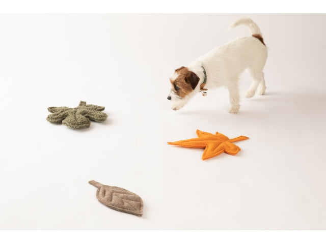 2.8 duepuntootto MIMMO Hundespielzeug Maple Schönes Hundespielzeug