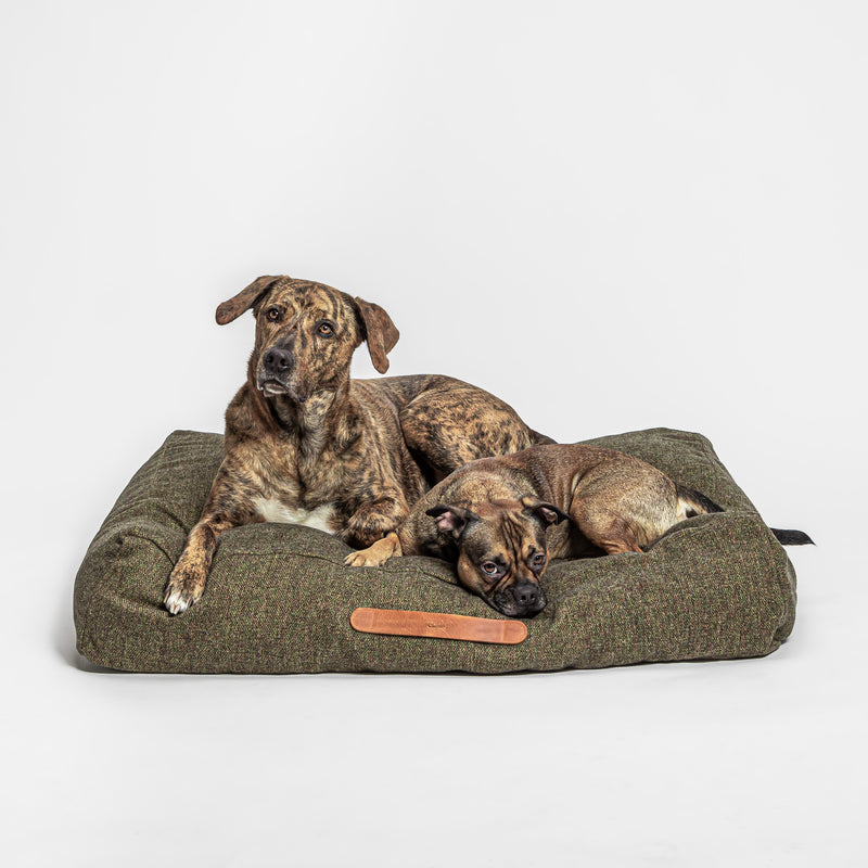 Cloud7 Hundebett Homey Mélange Olive