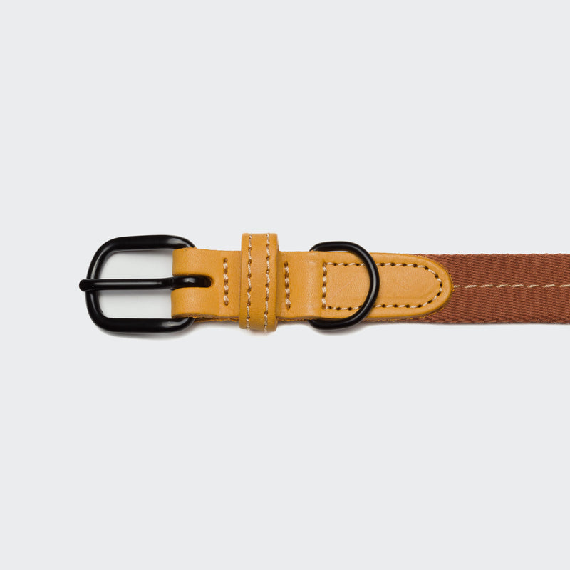 Cloud7 Hundehalsband Madeira Ginger Zweifarbiges Hundehalsband mit Leder