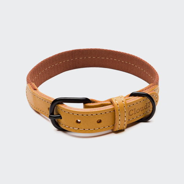 Cloud7 Hundehalsband Madeira Ginger Zweifarbiges Hundehalsband