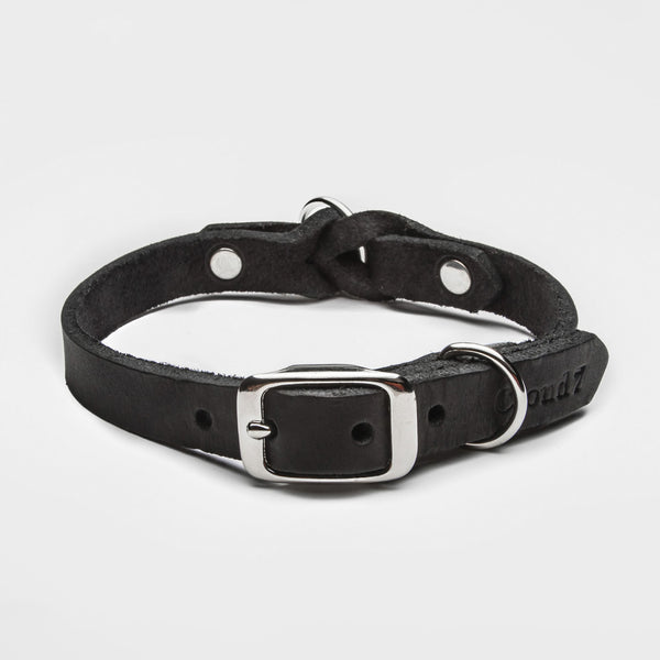 Cloud7 Hundehalsband Riverside Park Black
