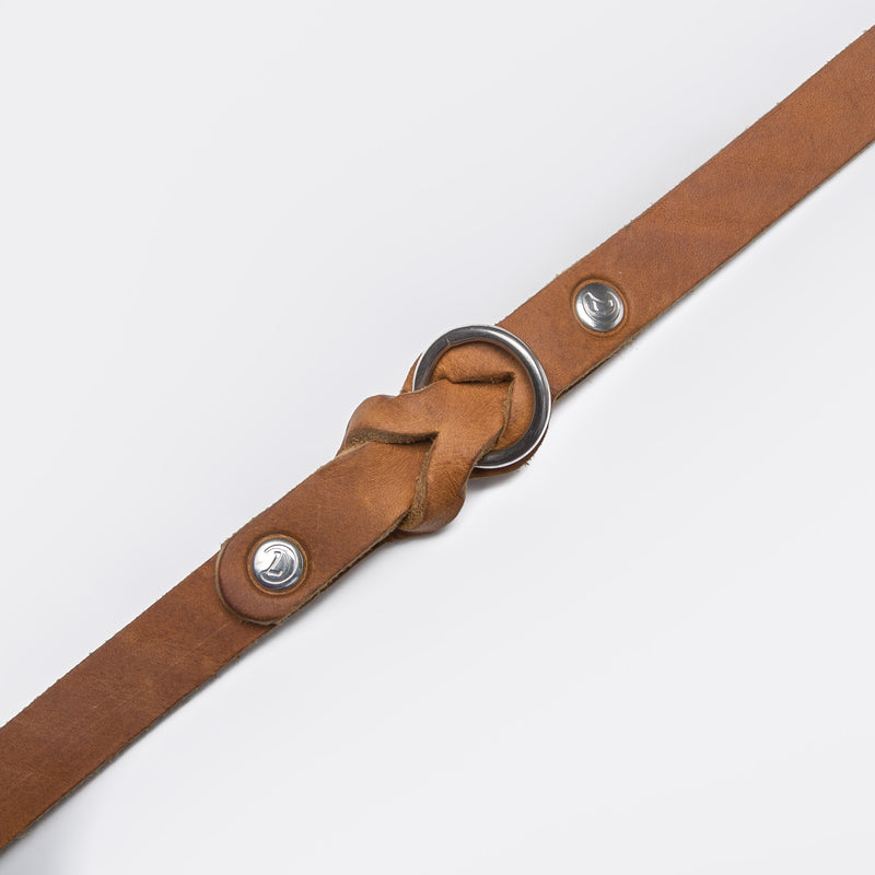 Cloud7 Hundehalsband Riverside Park Camel Halsband