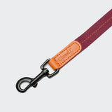 Cloud7 Hundeleine Madeira Papaya Umhaengeleine mit Leder