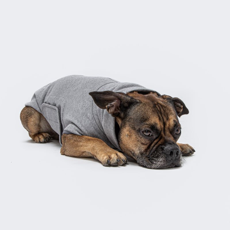 Cloud7 Hundepullover Dorset Grey Mélange Hundemantel